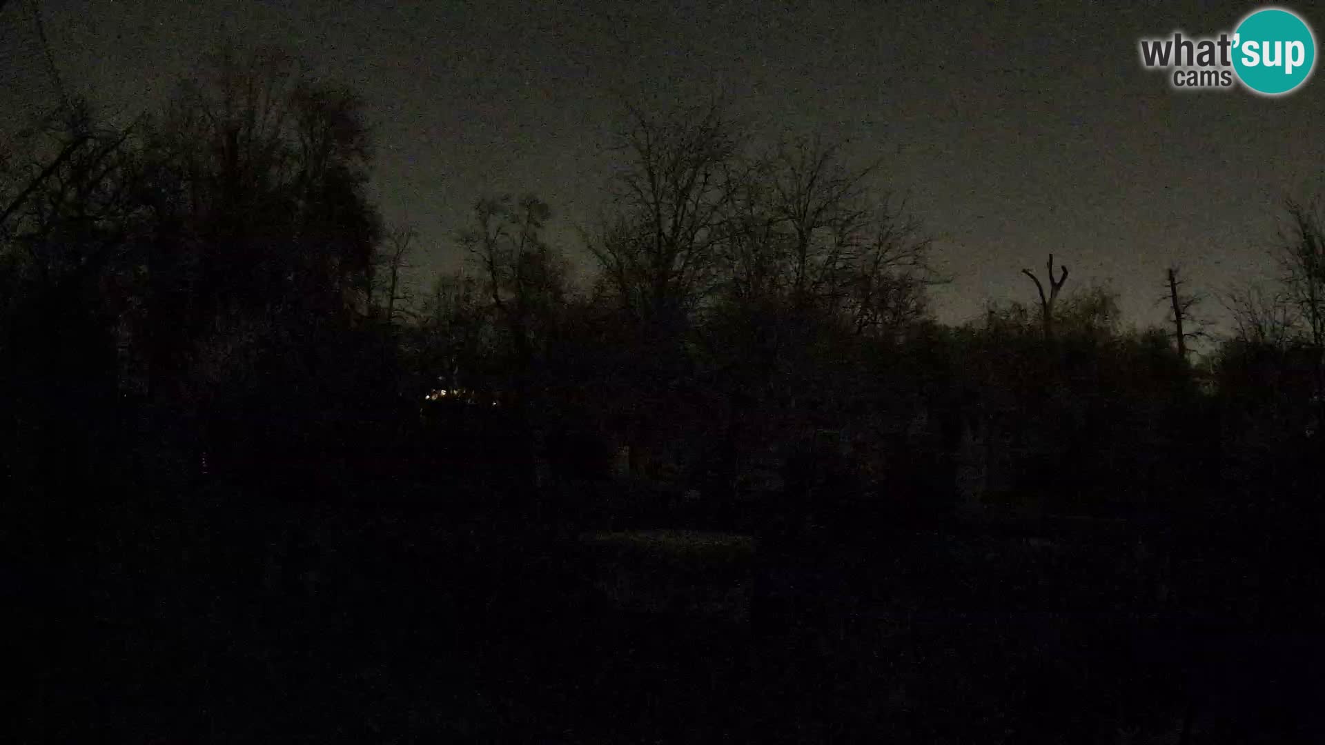 Spletna kamera Zoo Zagreb – Levi