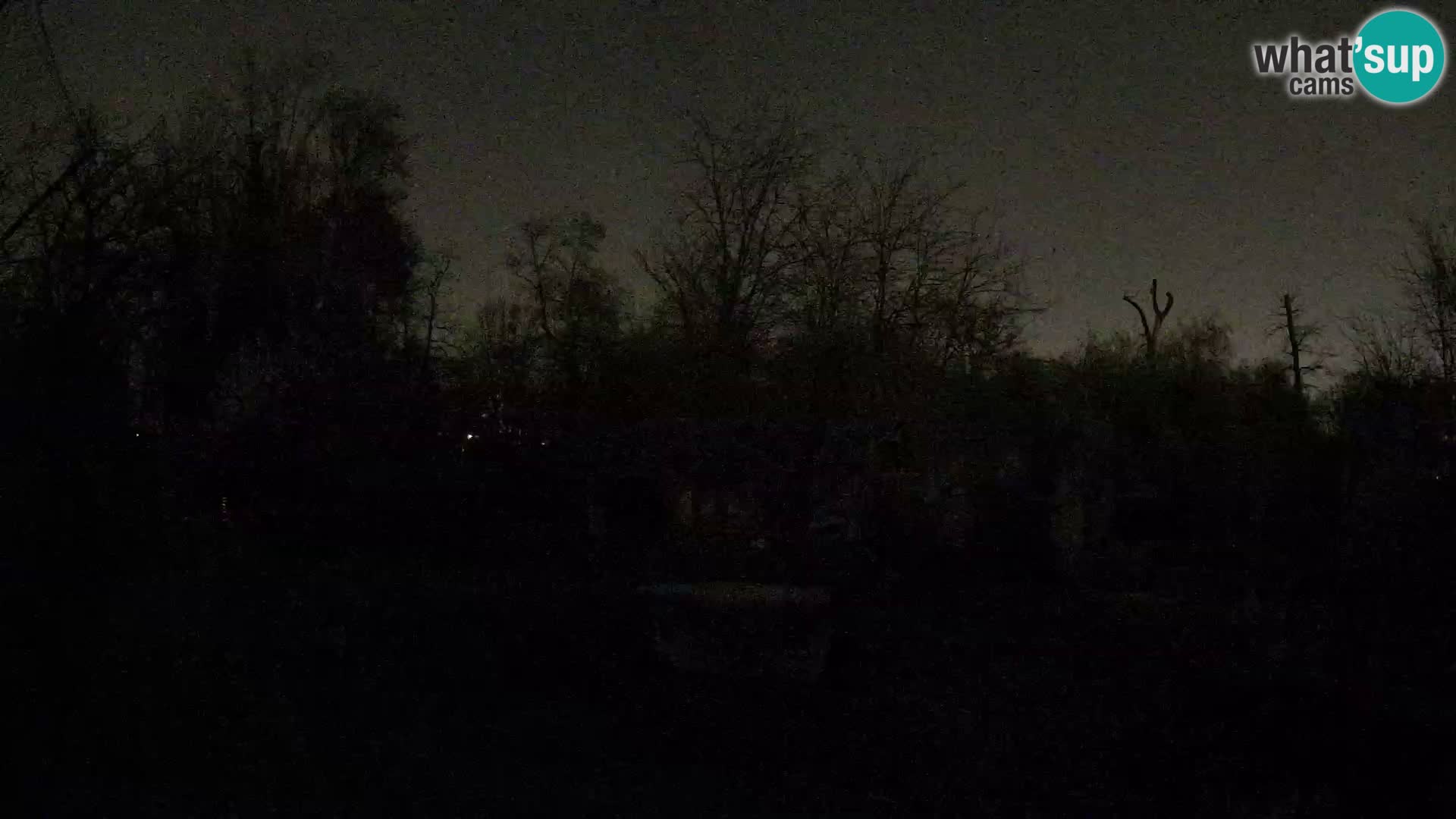 Zoo Zagreb – Lavovi