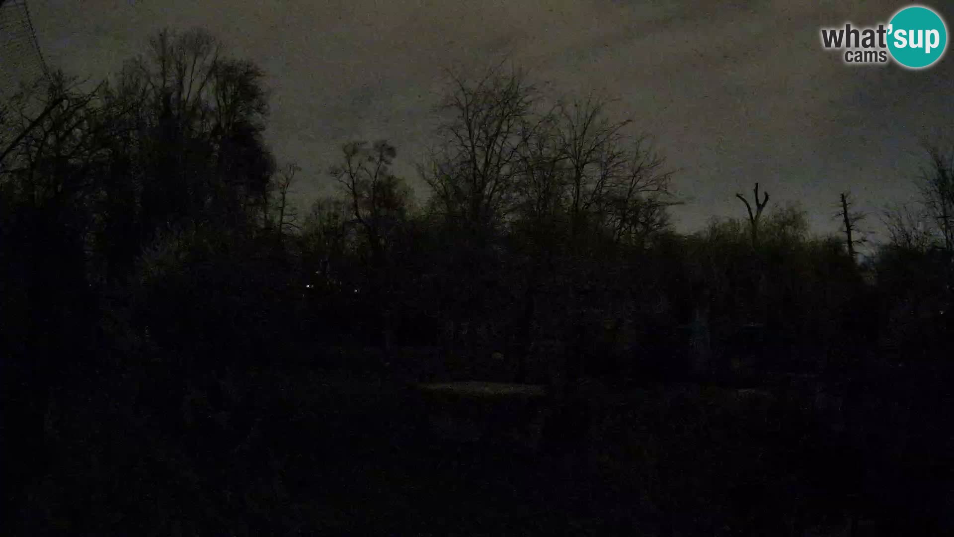 Spletna kamera Zoo Zagreb – Levi