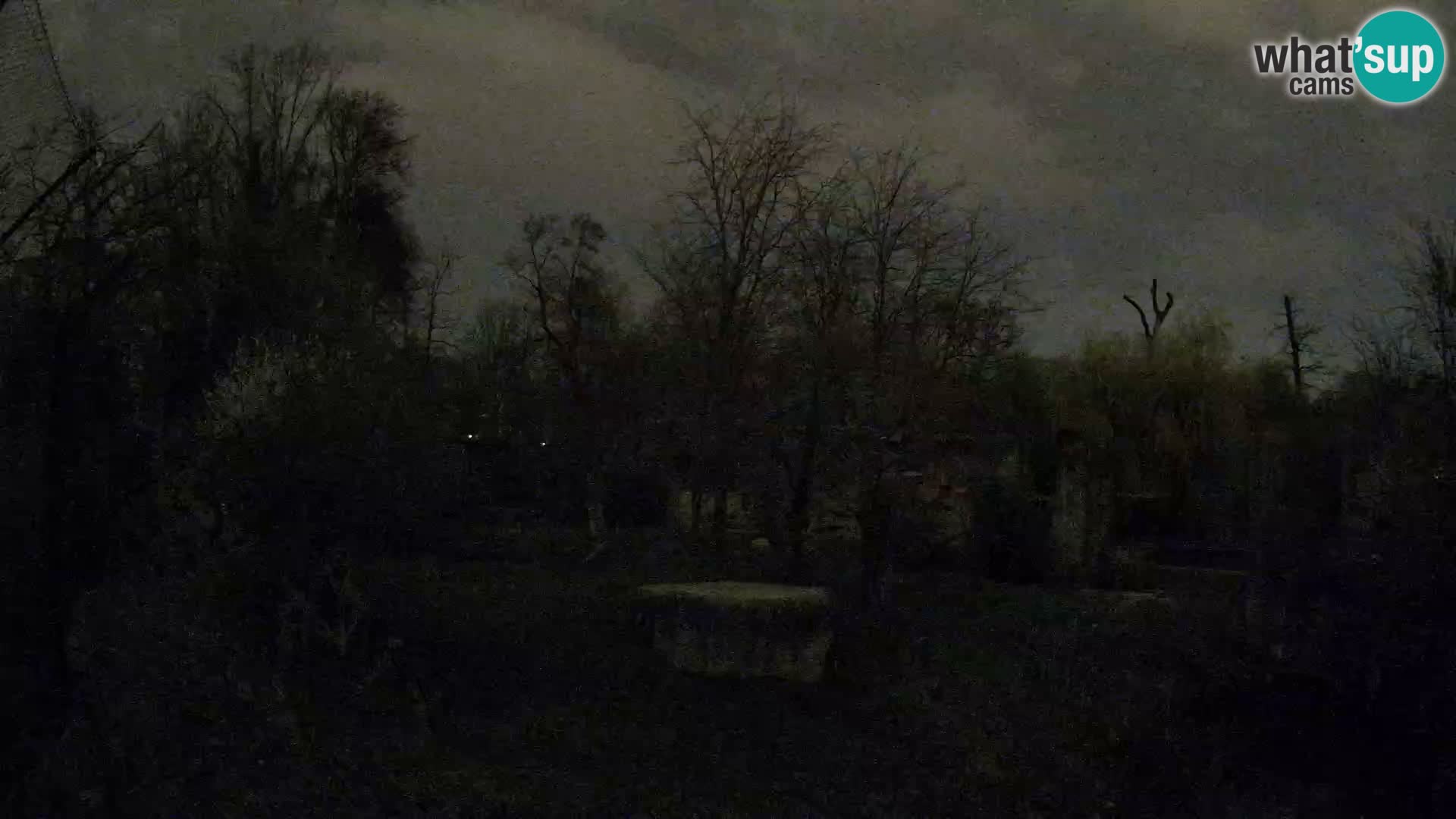 Zoo Zagreb – Leones