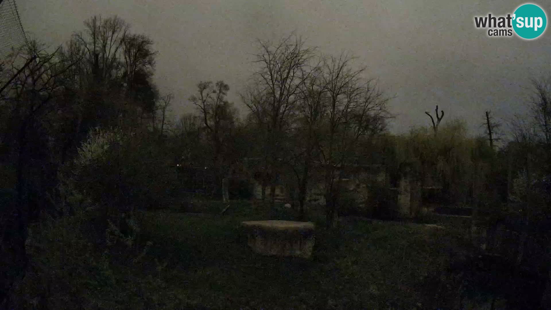 Zoo Zagreb – Leoni