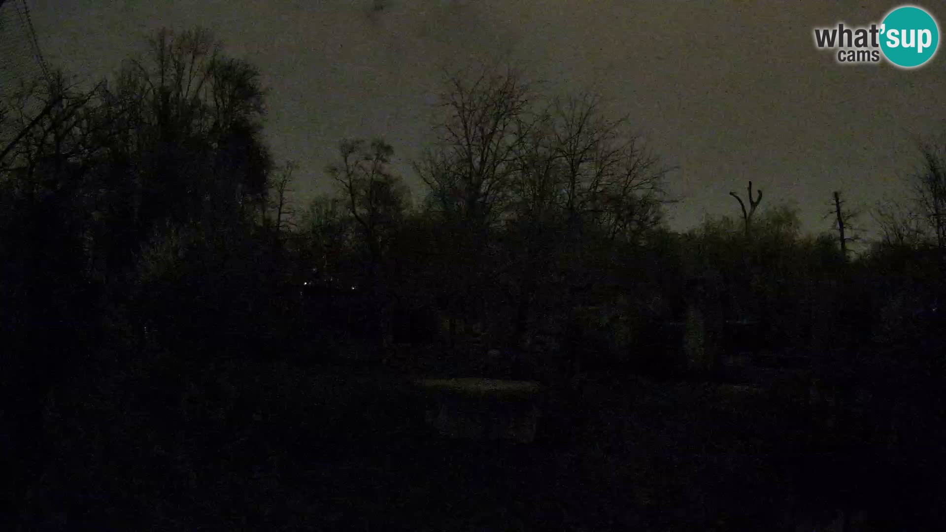 Zoo Zagreb – Leones