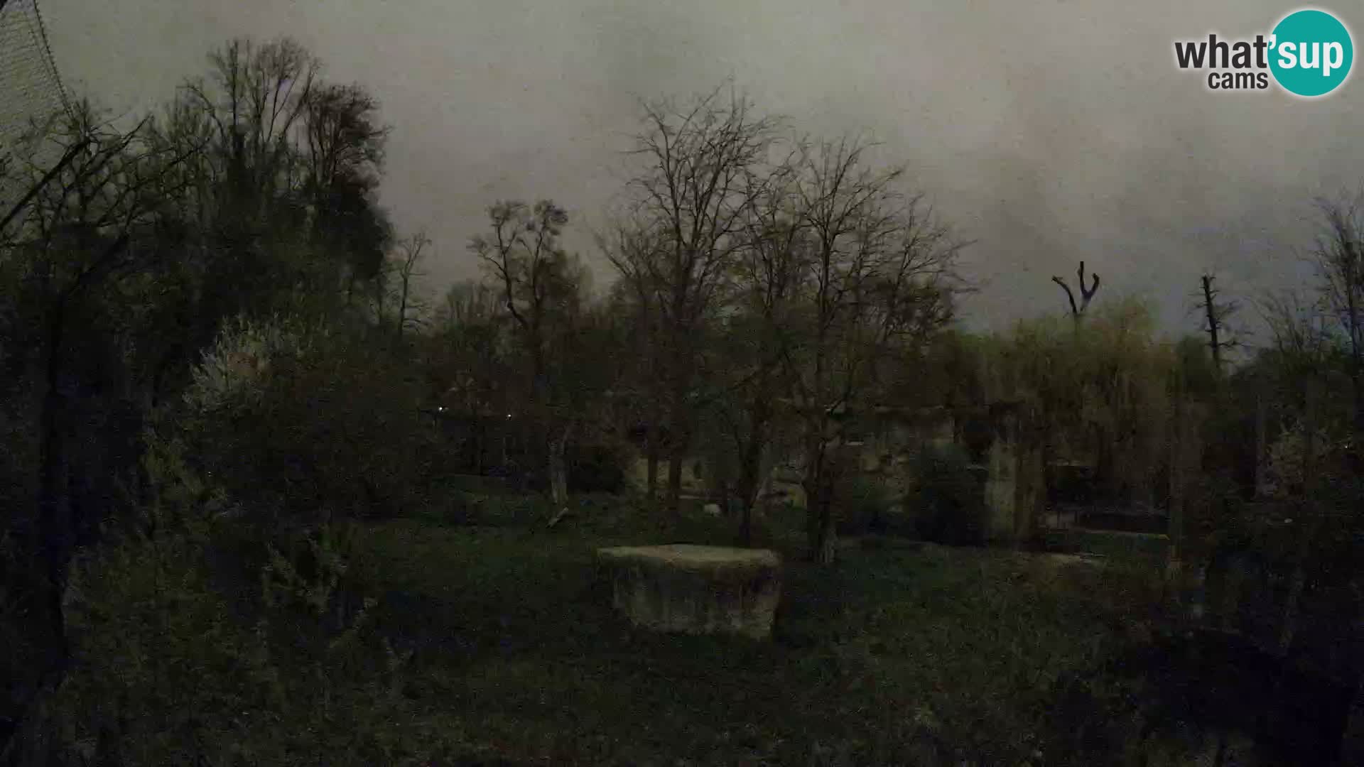 Zoo Zagreb – Löwen