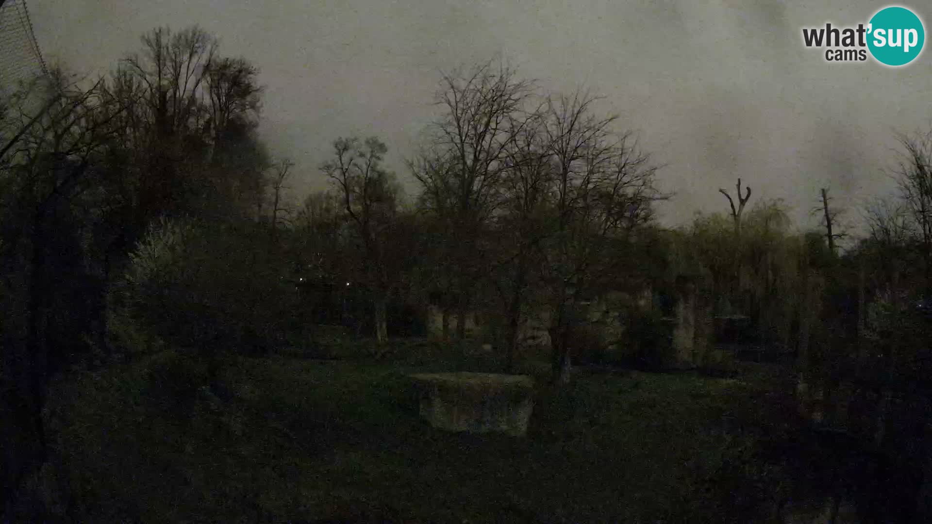 Zoo Zagreb – Löwen