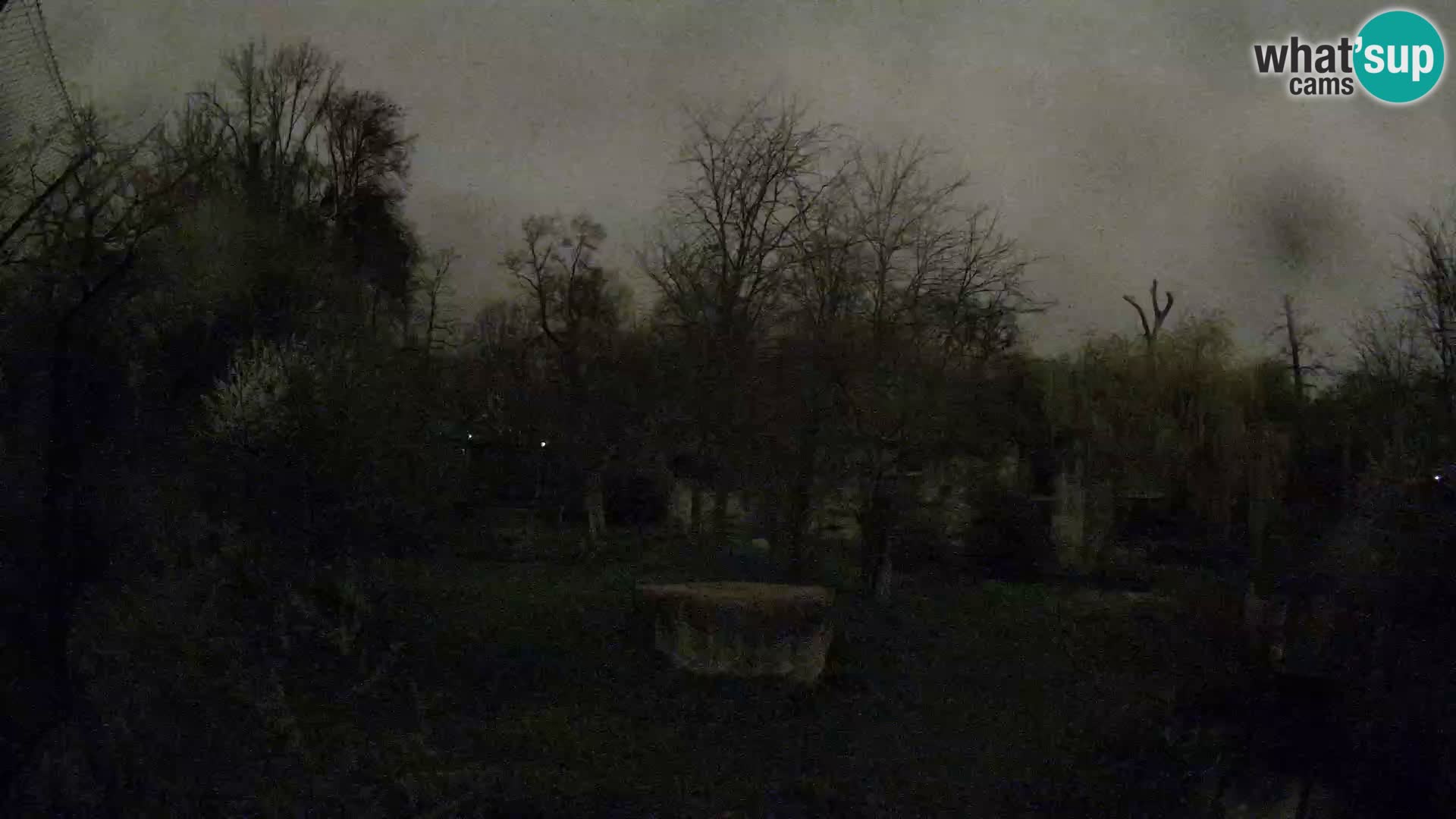 Zoo Zagreb – Löwen