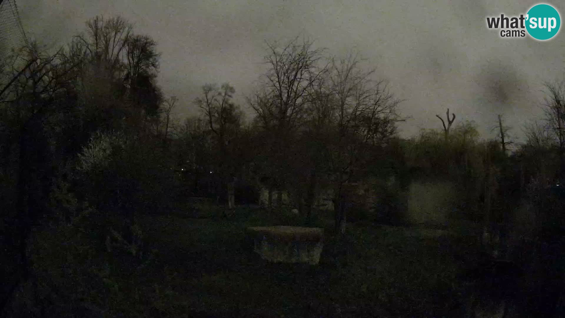 Zoo Zagreb – Leoni