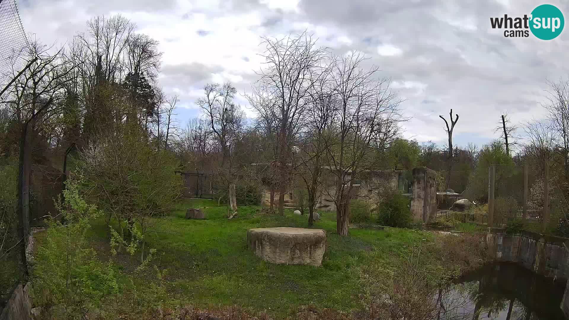 Zoo Zagreb – Lavovi