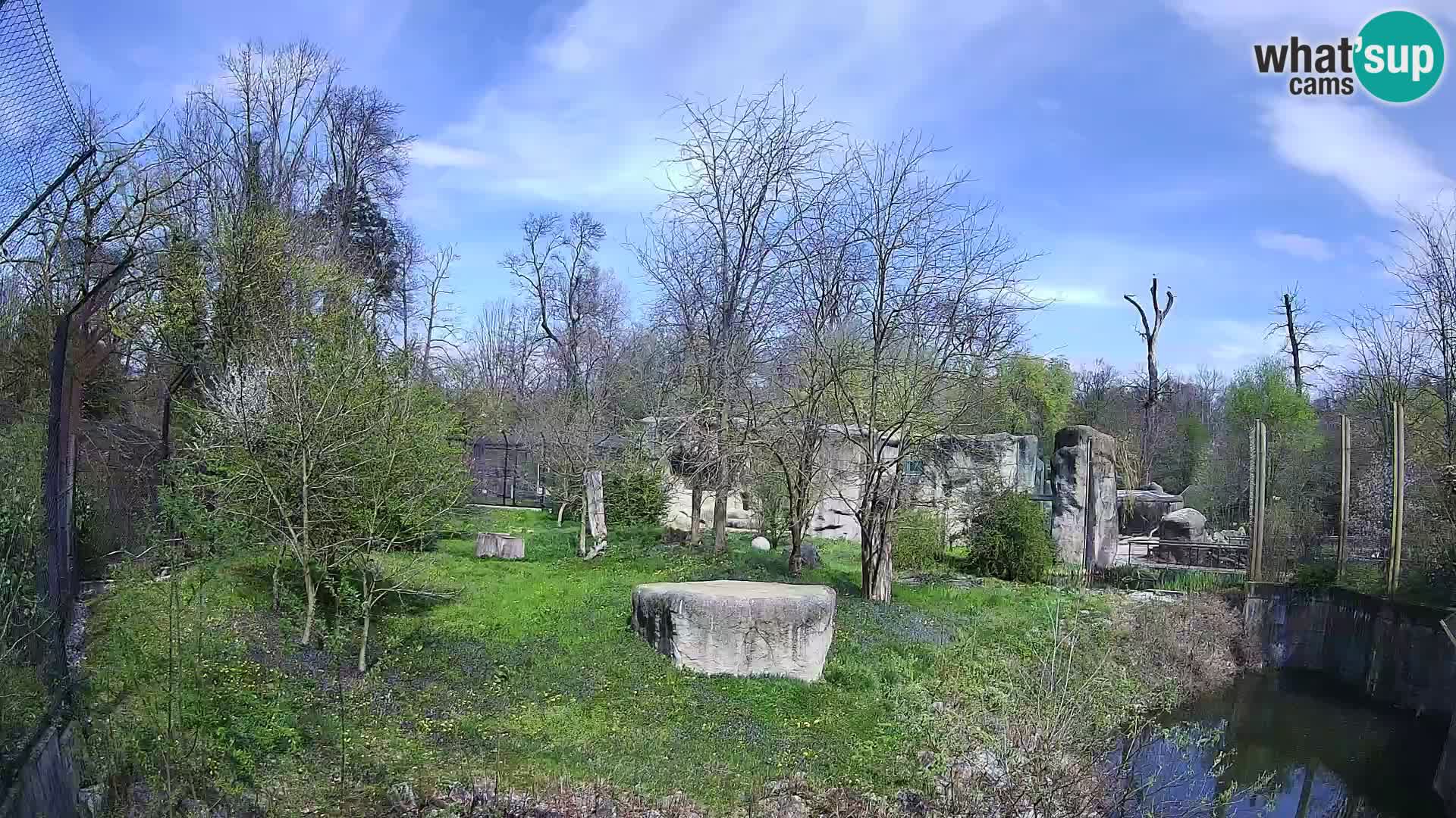 Zoo Zagreb – Leones