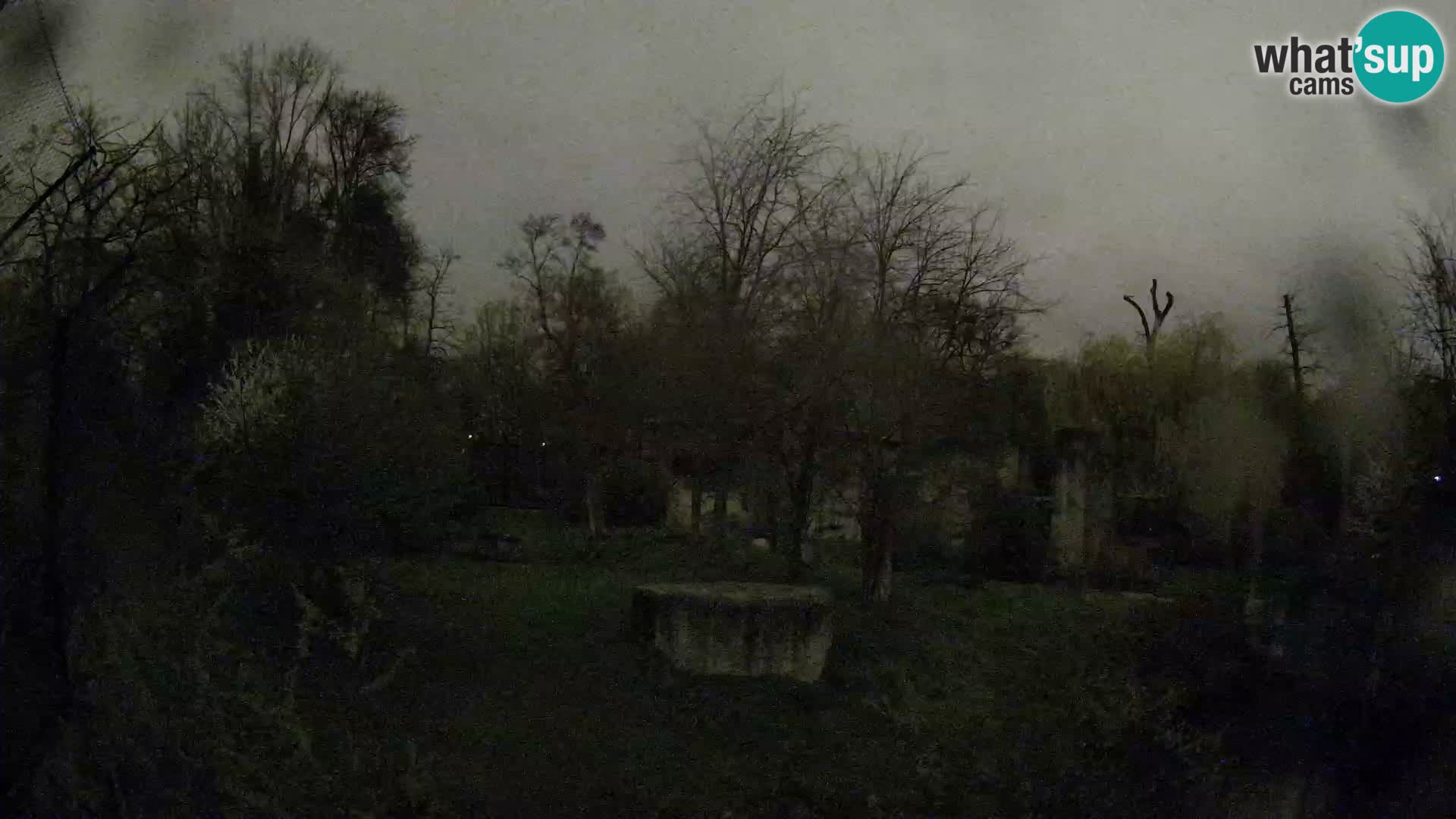 Zoo Zagreb – Leones