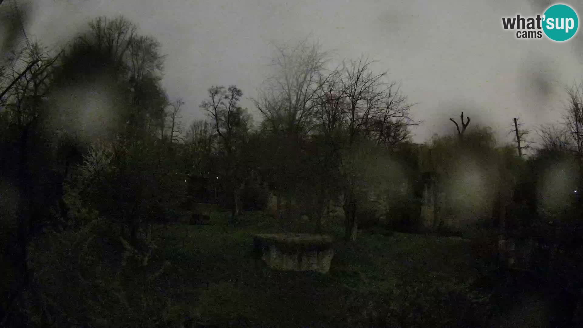 Zoo Zagreb – Leoni