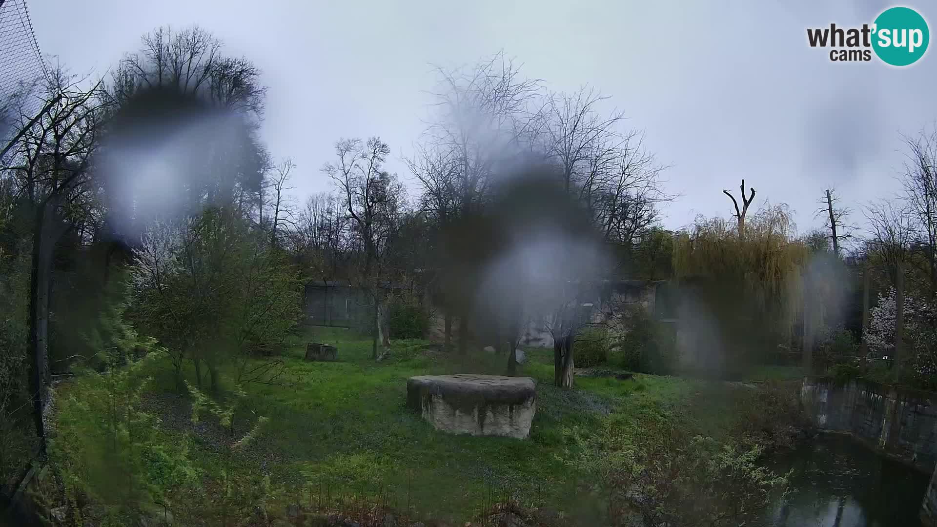 Zoo Zagreb – Leoni