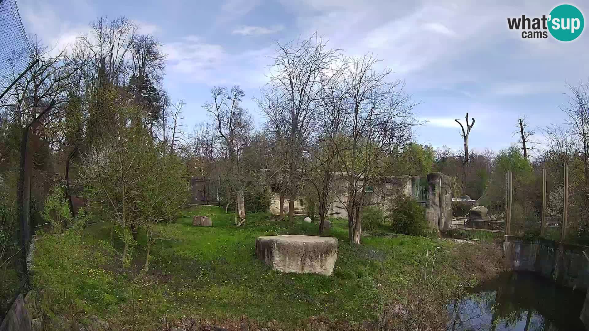 Zoo Zagreb – Leoni