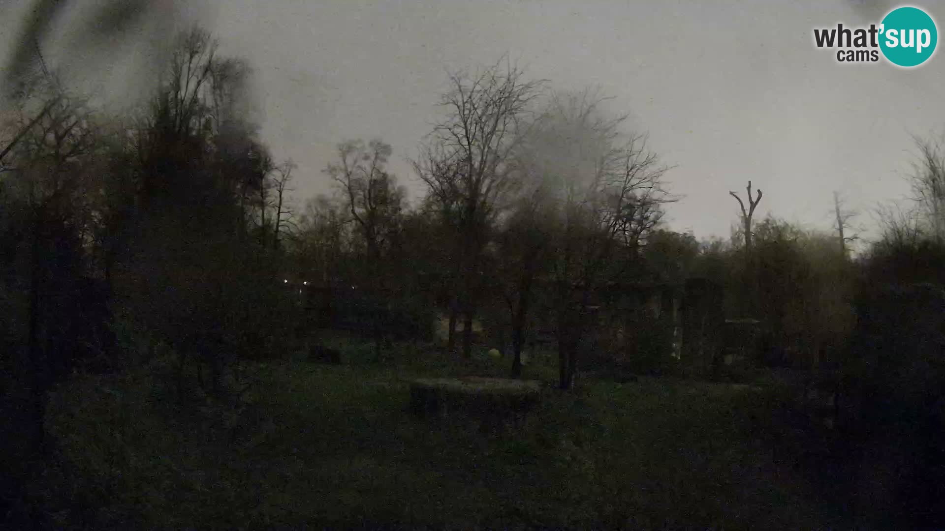 Zoo Zagreb – Leoni