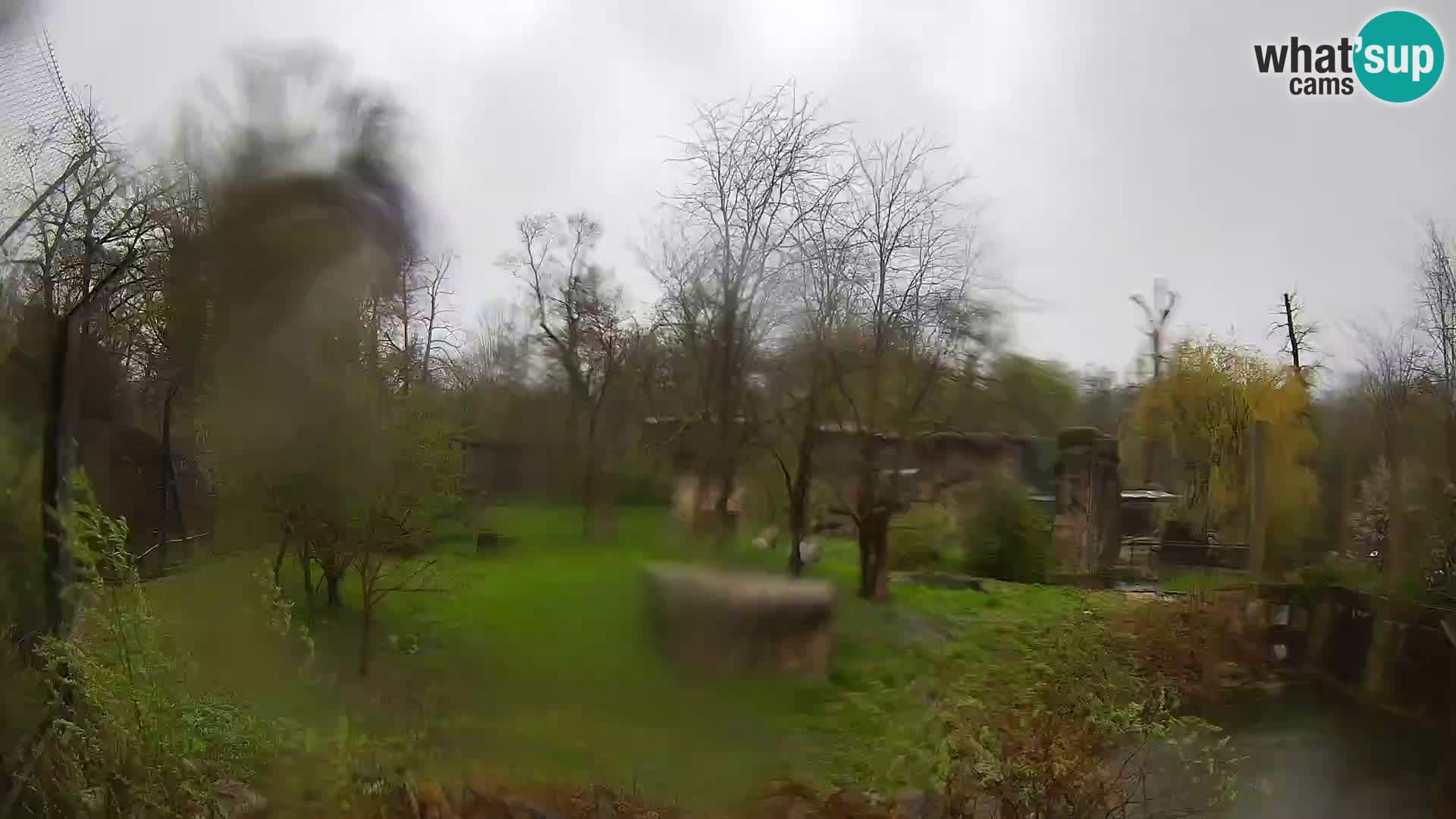 Zoo Zagreb – Leoni