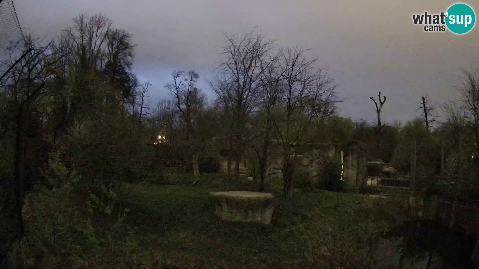 Zoo Zagreb – Leoni