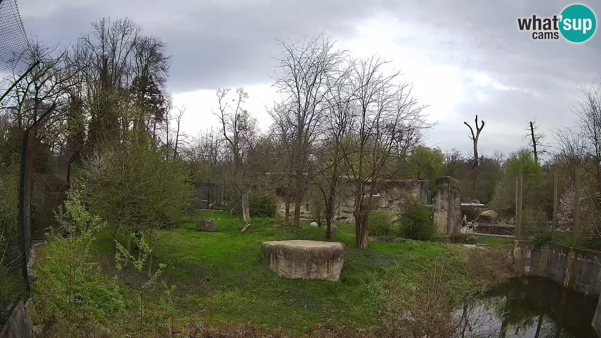 Zoo Zagreb – Löwen