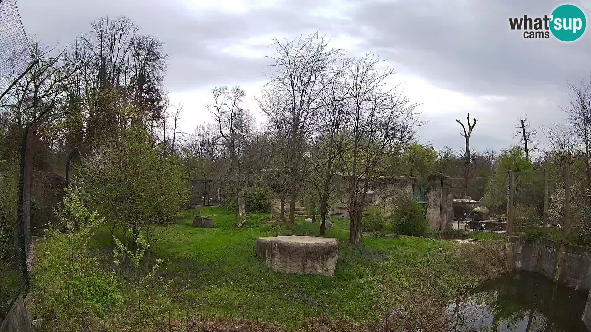 Zoo Zagreb – Leones