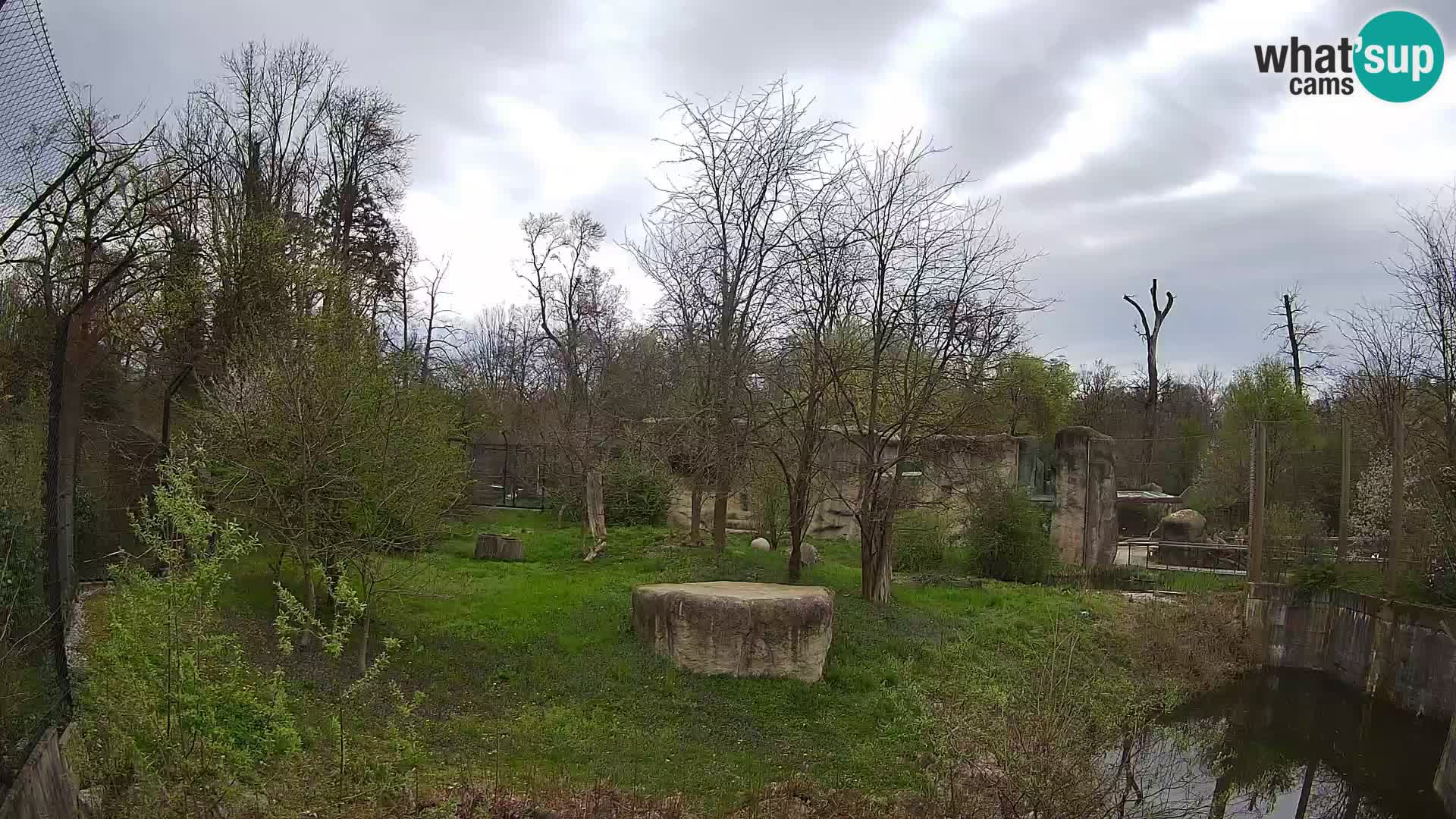 Zoo Zagreb – Leones