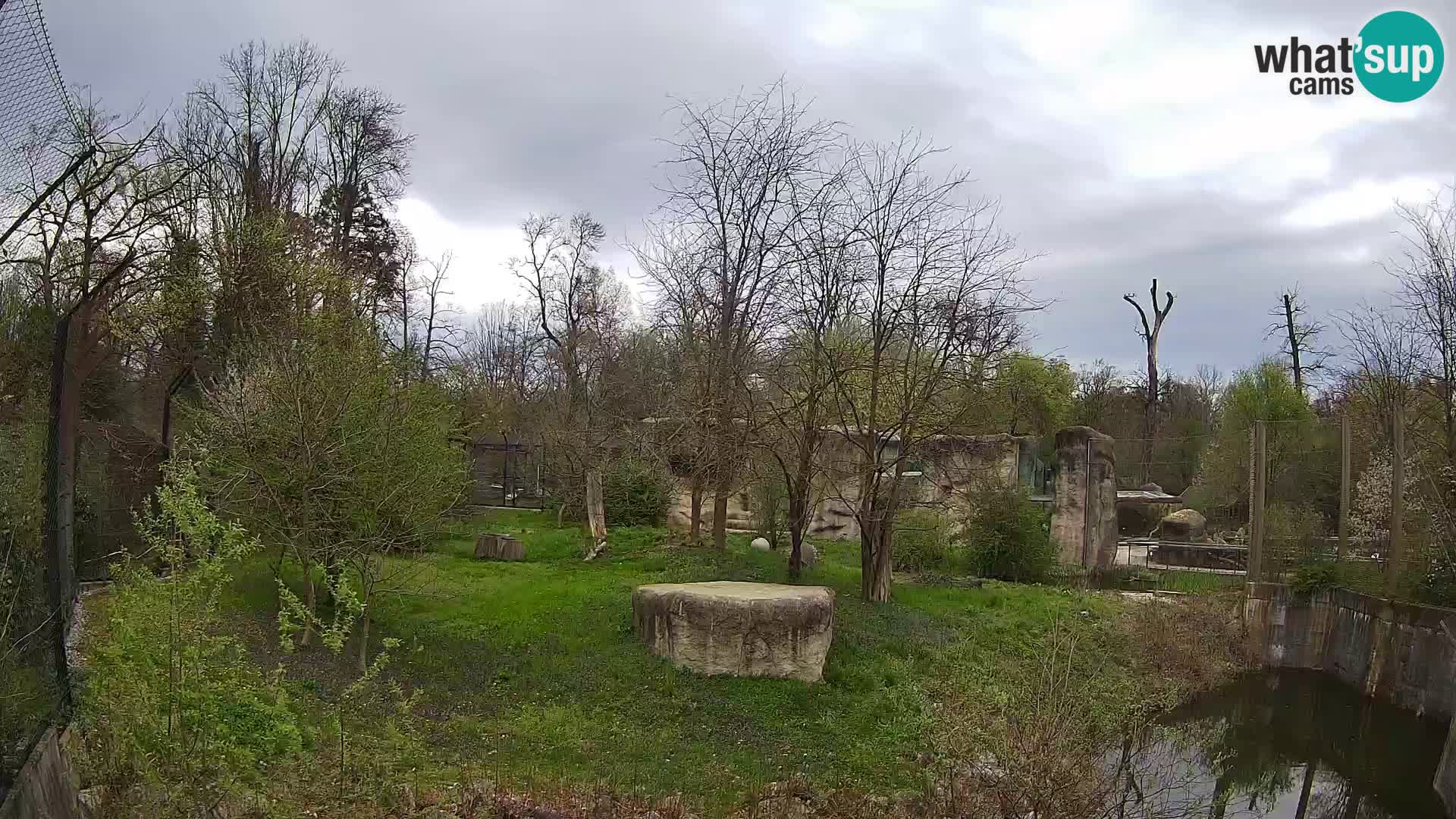 Zoo Zagreb – Leones