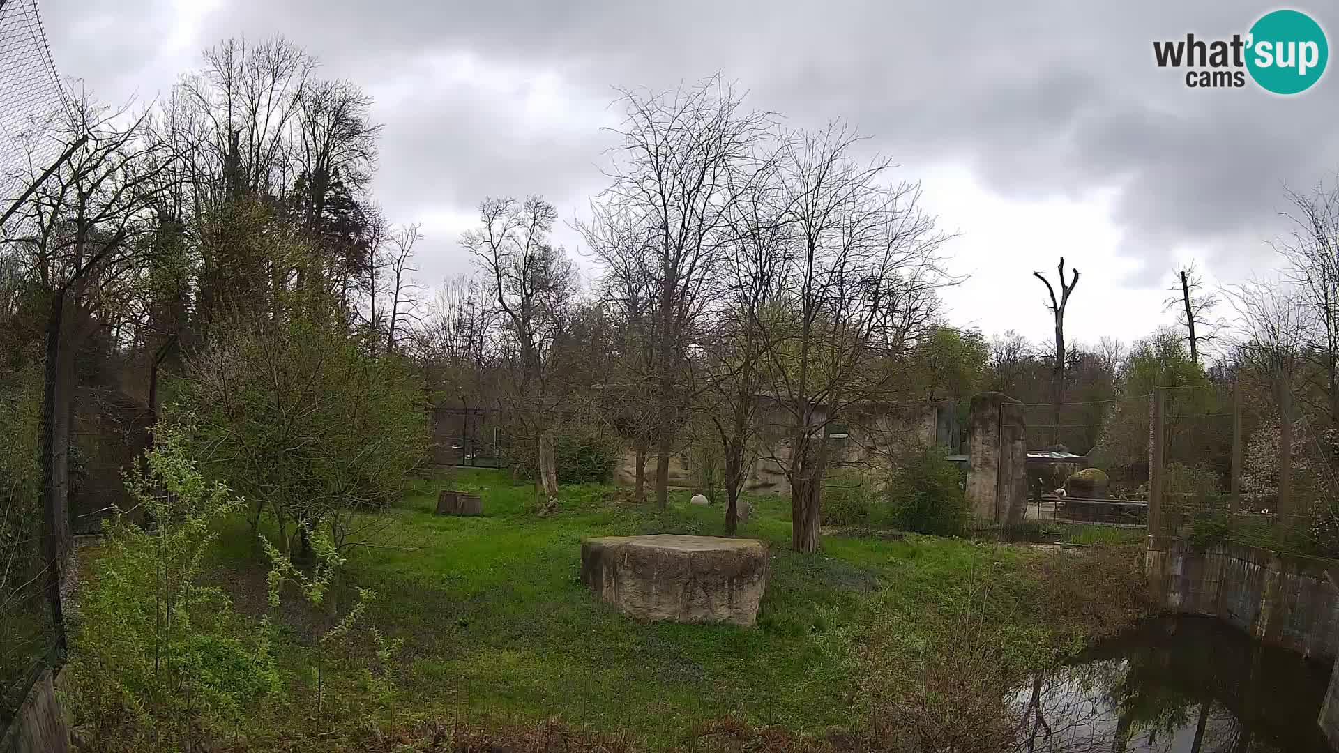 Zoo Zagreb – Löwen