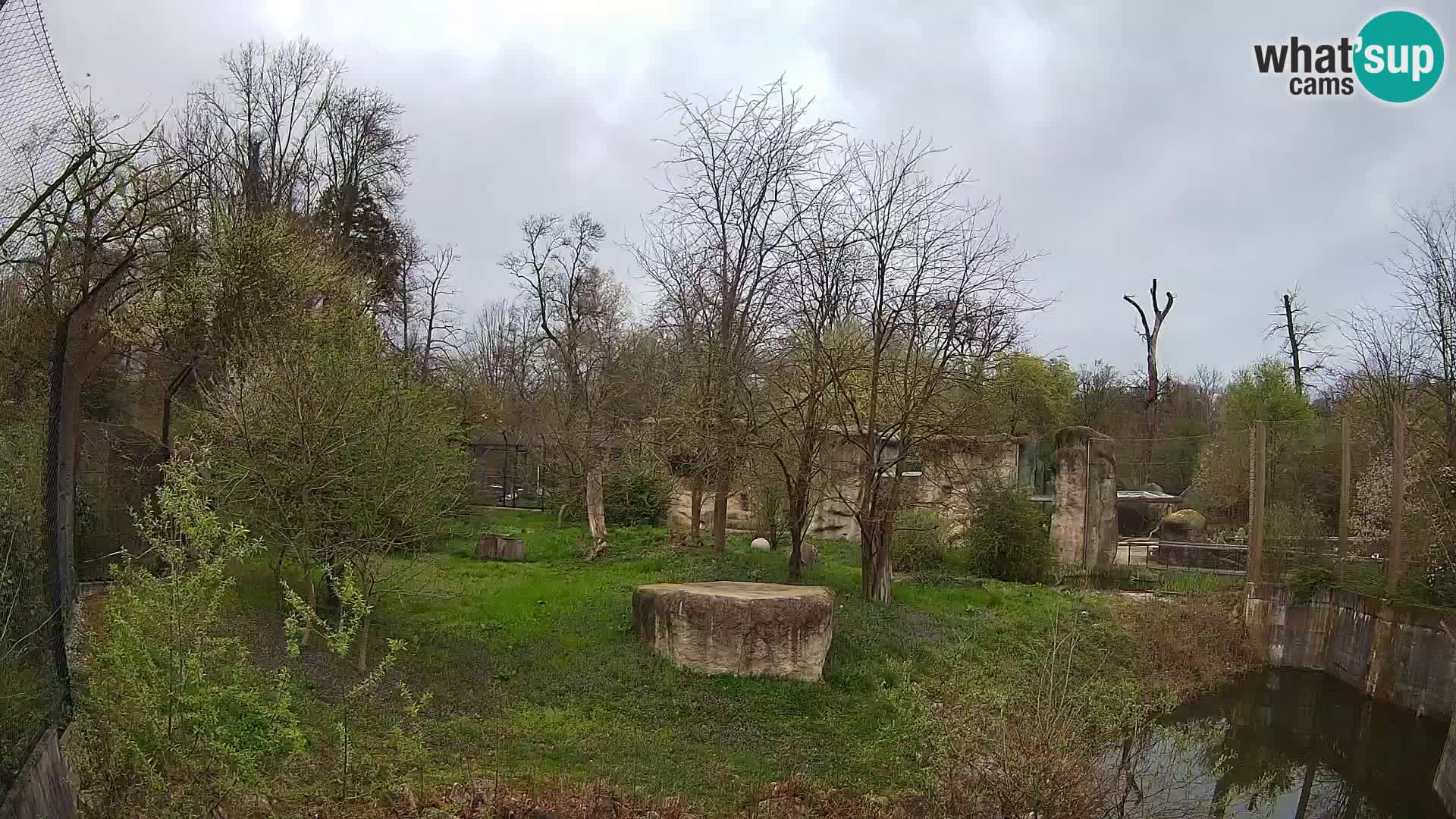 Zoo Zagreb – Löwen