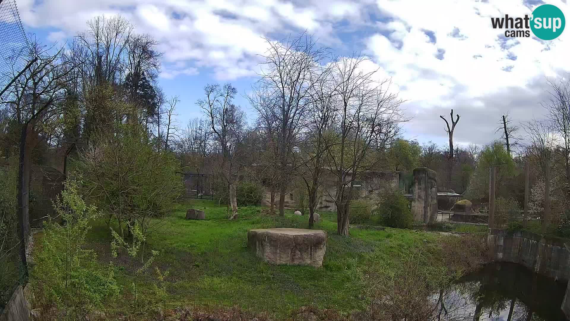 Zoo Zagreb – Löwen