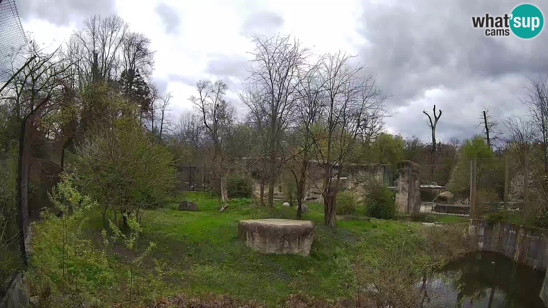 Zoo Zagreb – Leones