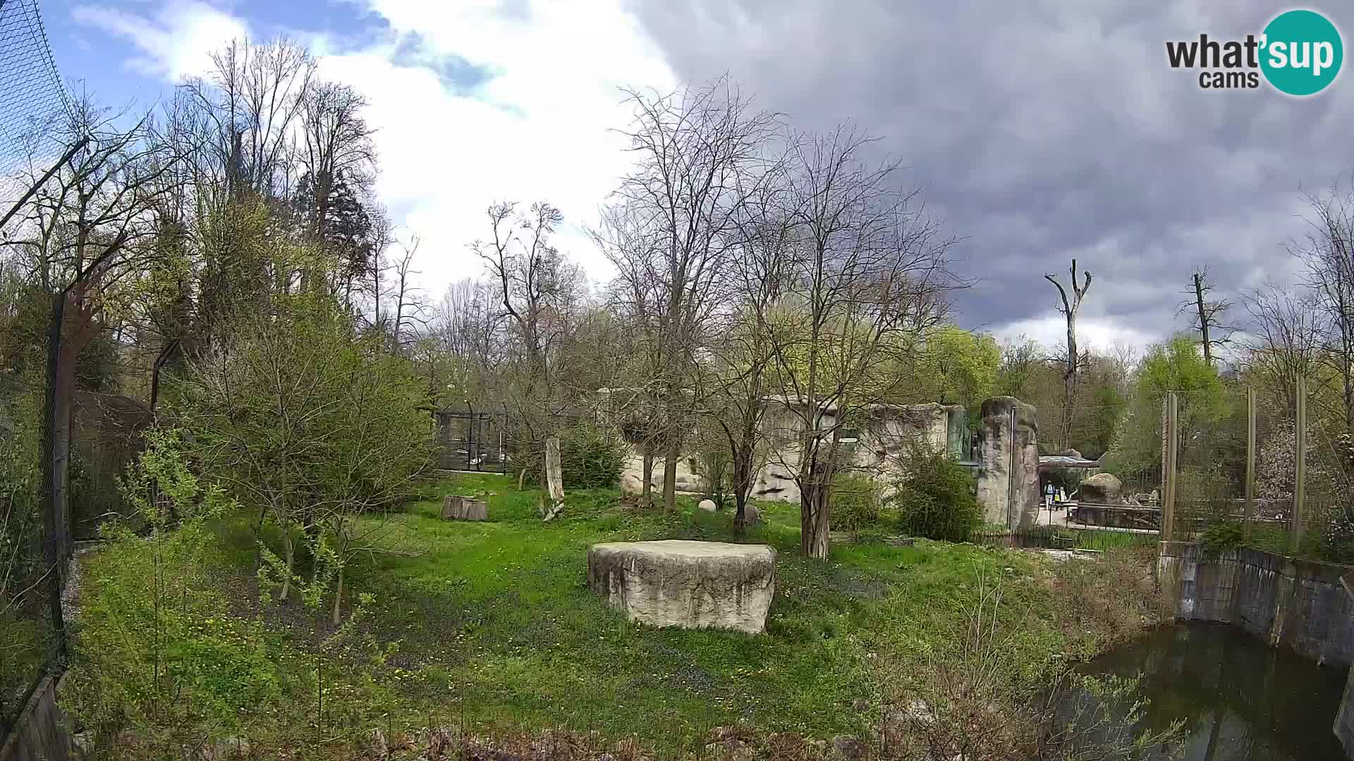 Zoo Zagreb – Leones