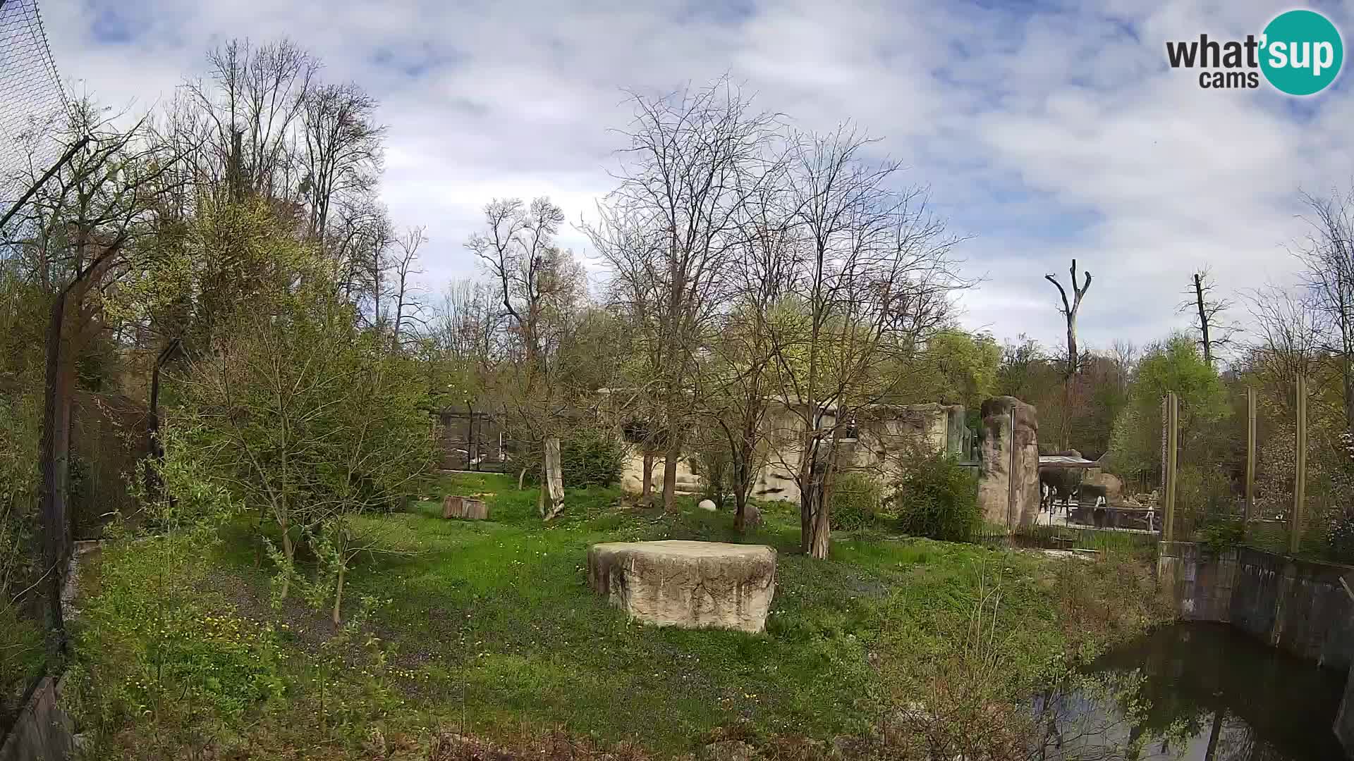 Spletna kamera Zoo Zagreb – Levi