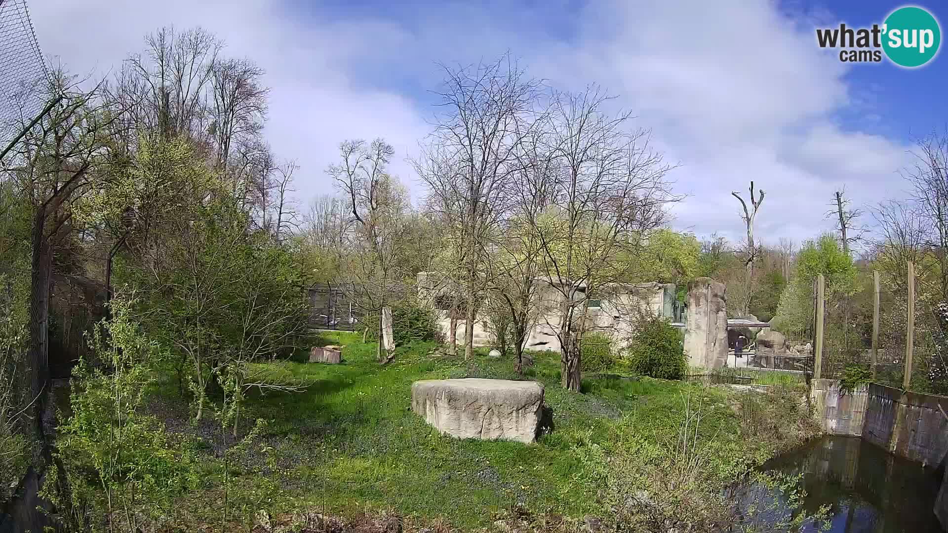 Zoo Zagreb – Leoni