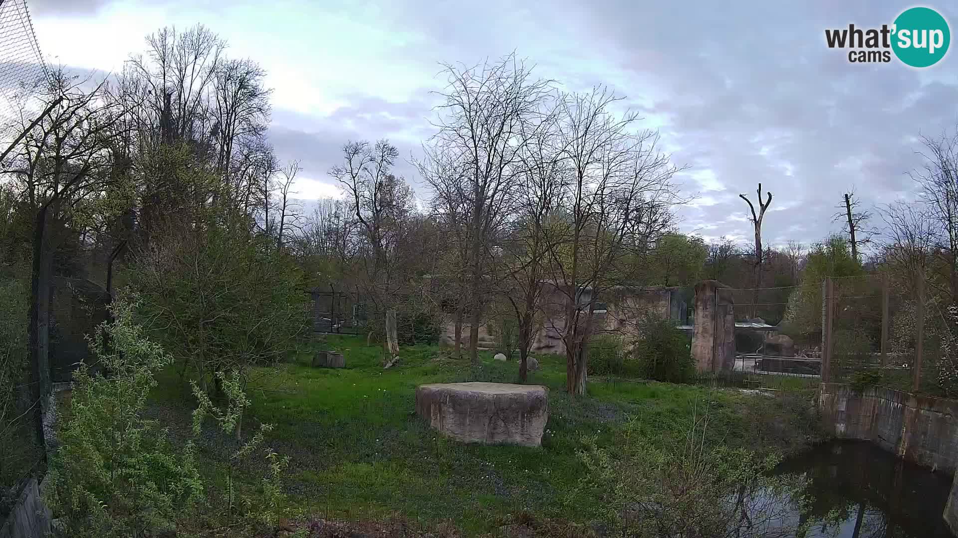 Zoo Zagreb – Leoni