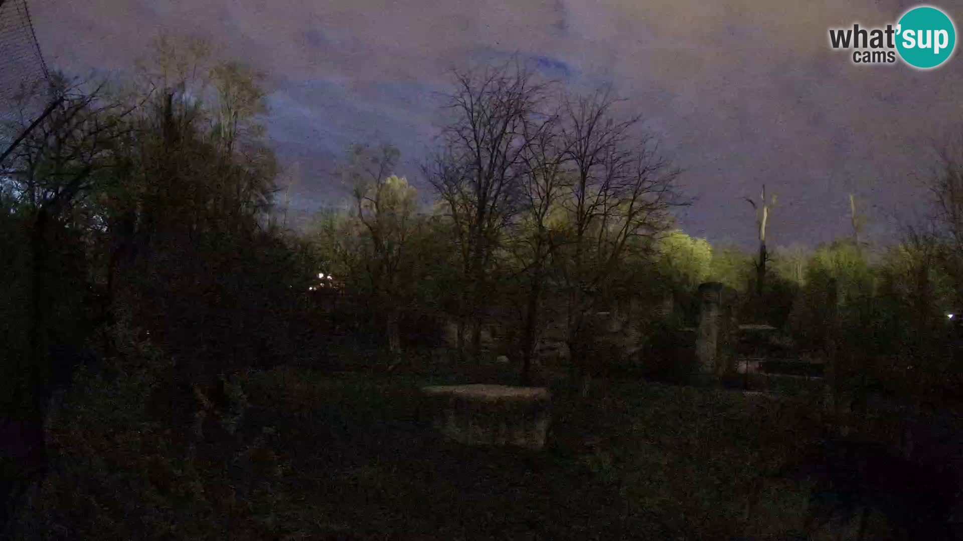 Zoo Zagreb – Leones