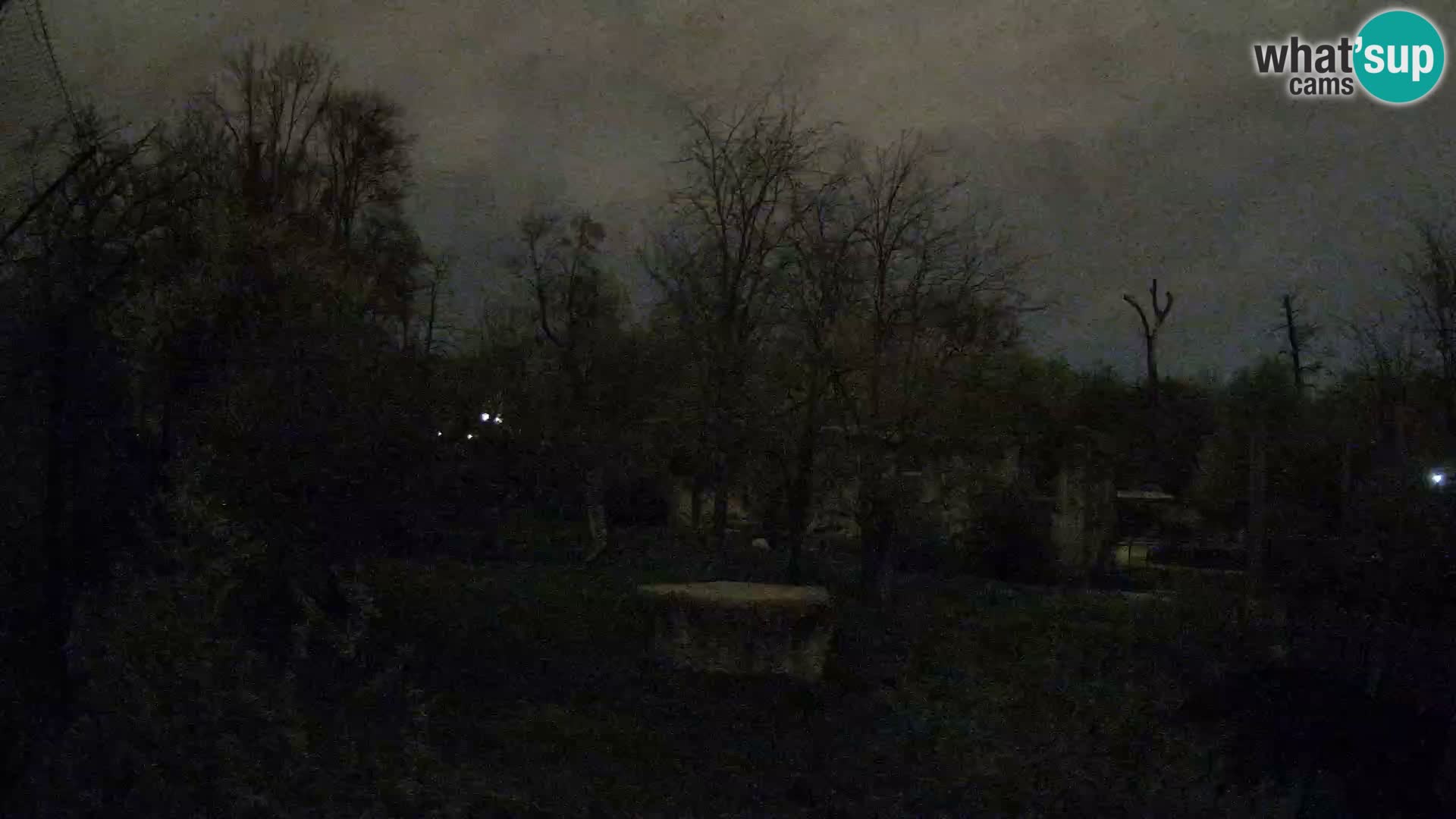 Zoo Zagreb – Leones