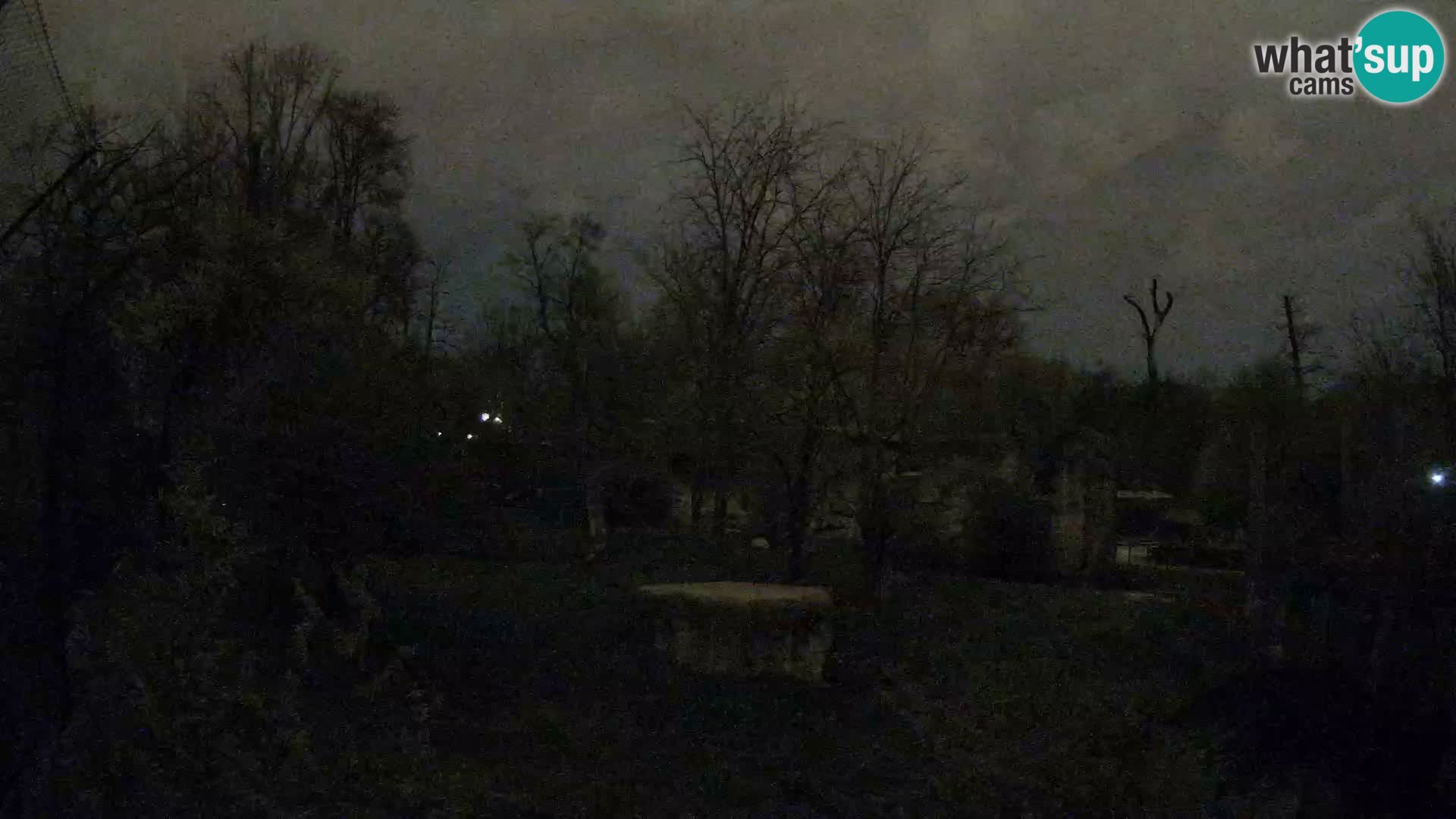 Zoo Zagreb – Leoni