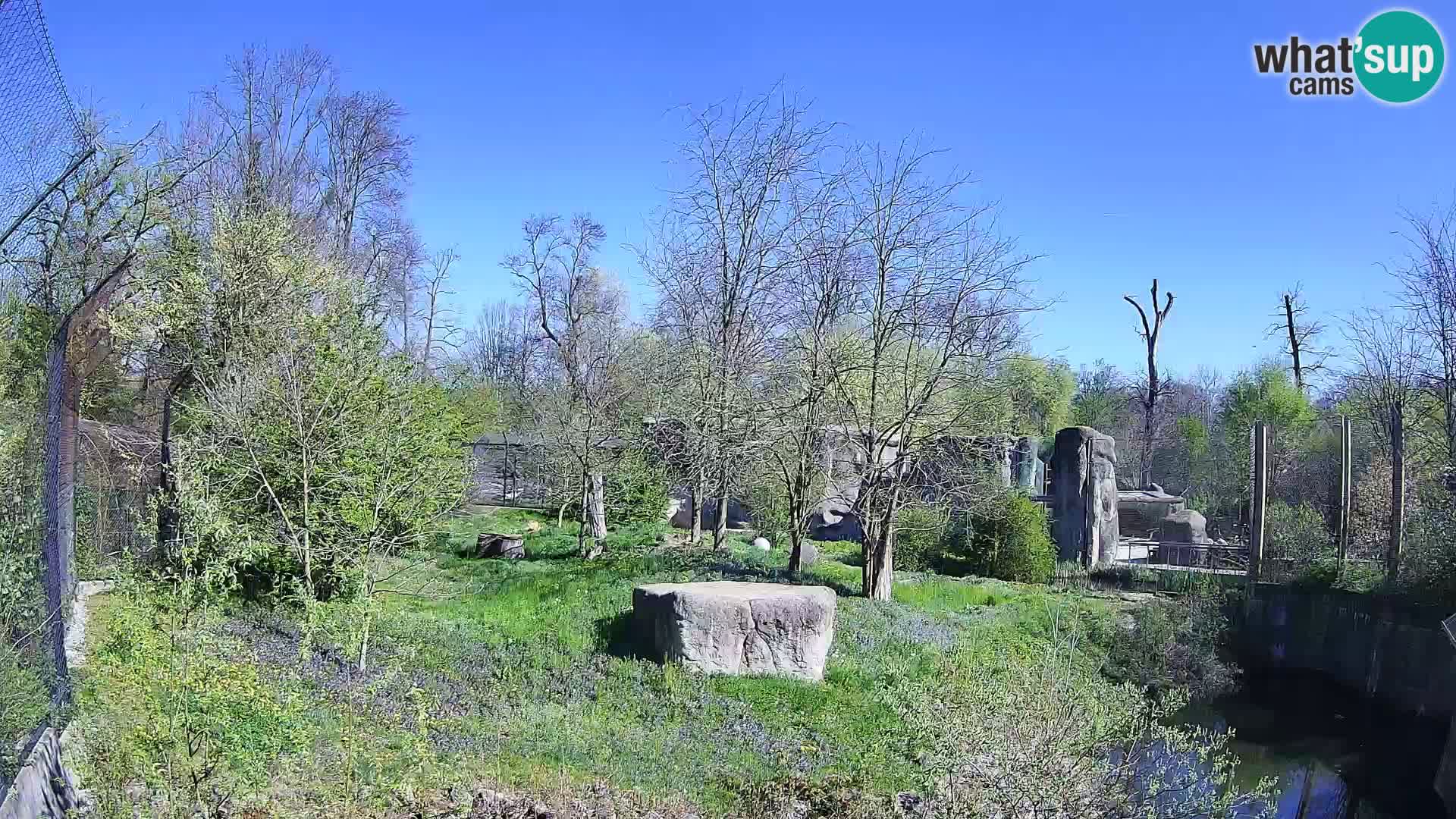 Zoo Zagreb – Löwen