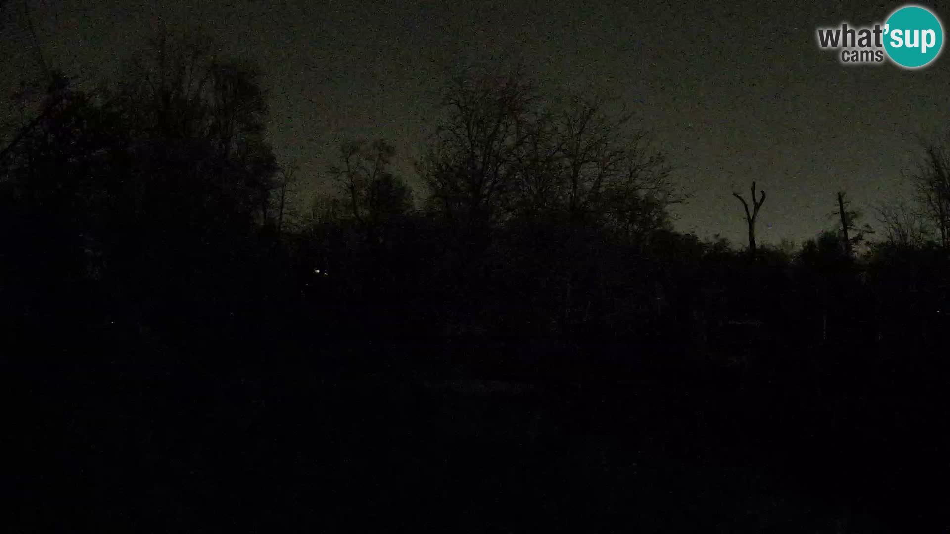 Zoo Zagreb – Löwen