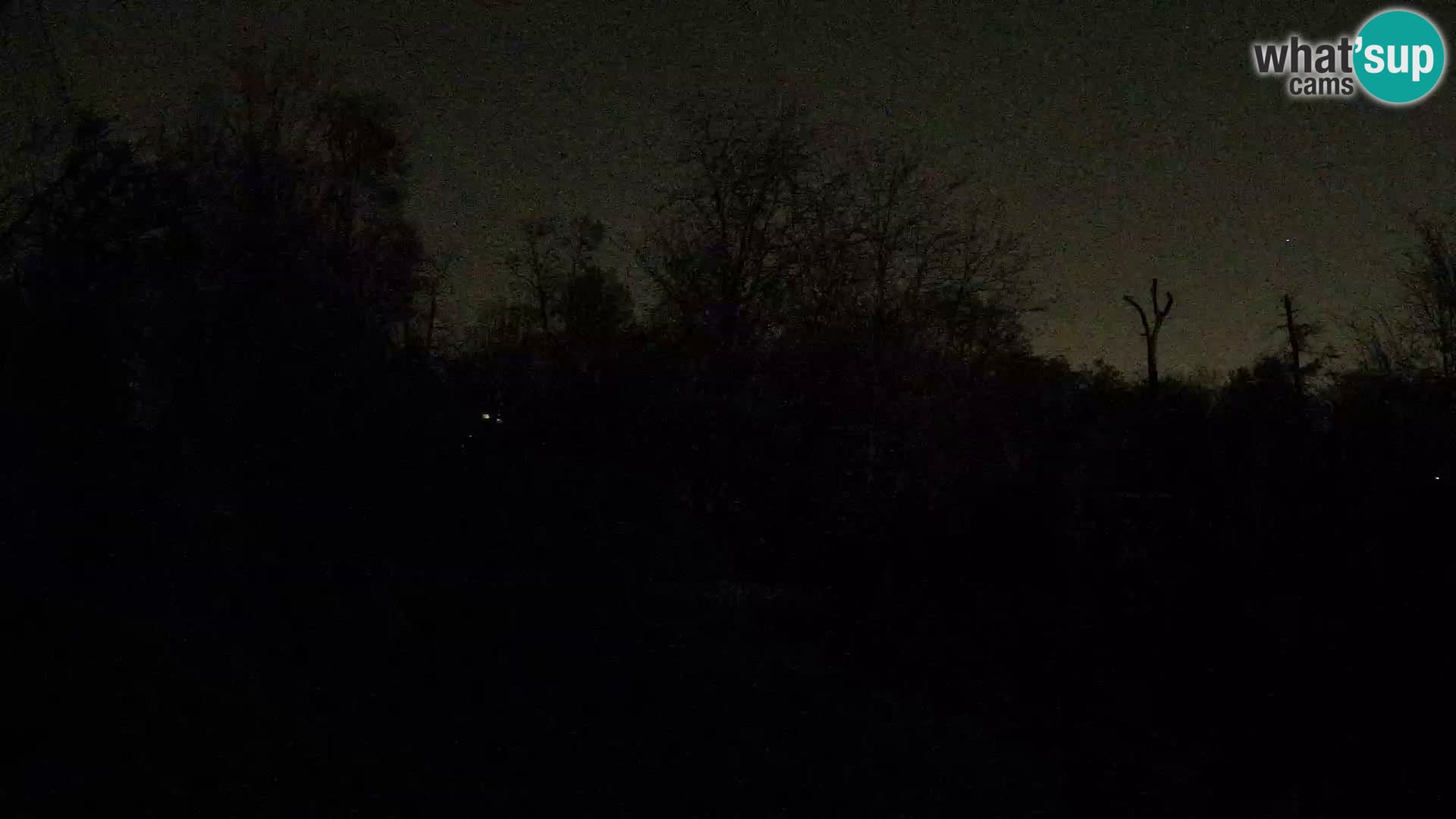 Zoo Zagreb – Löwen