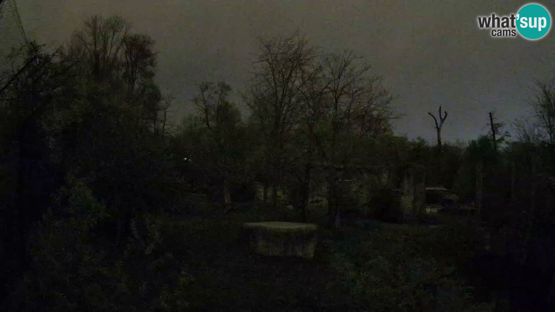 Zoo Zagreb – Löwen