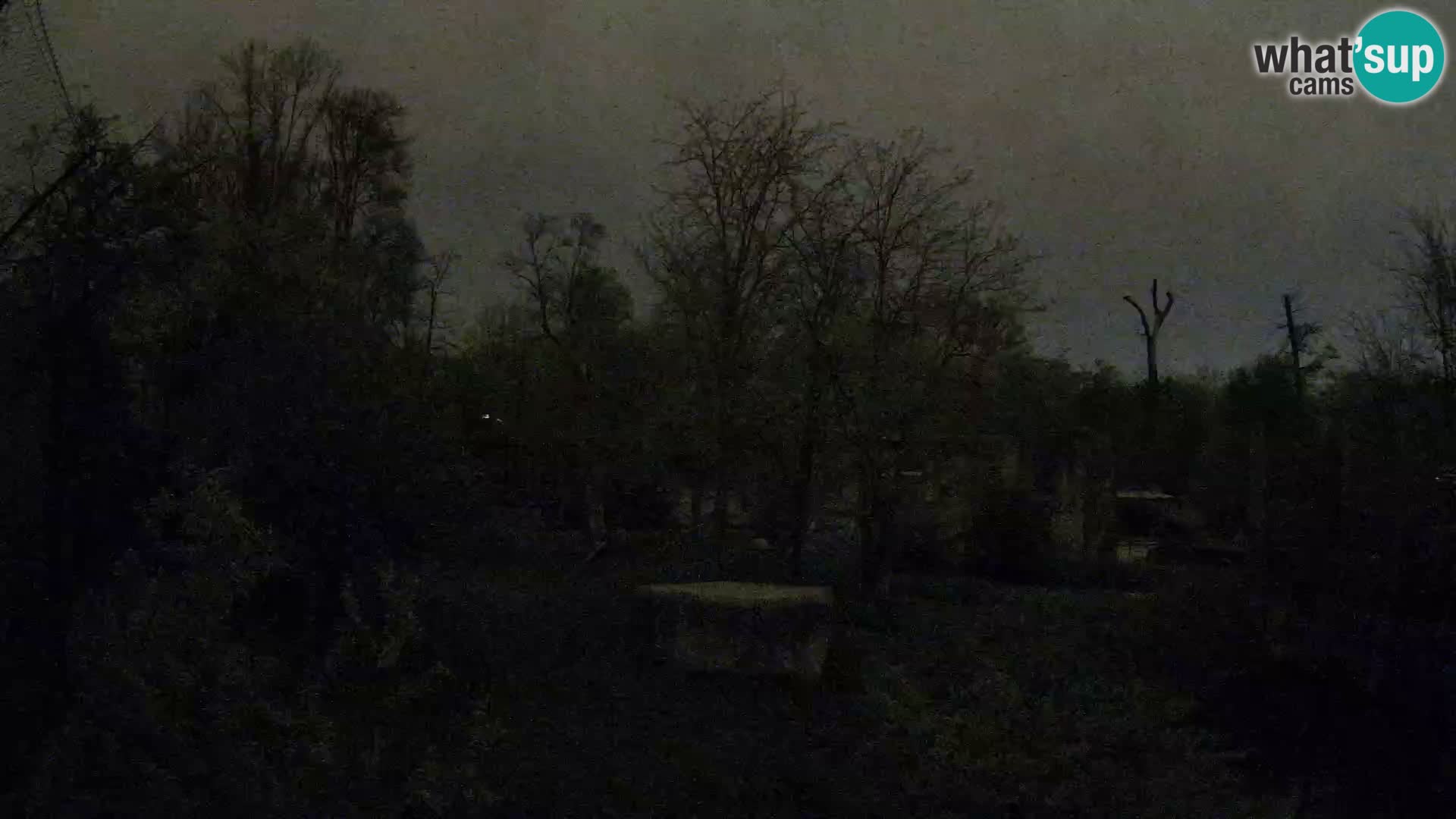 Zoo Zagreb – Leoni