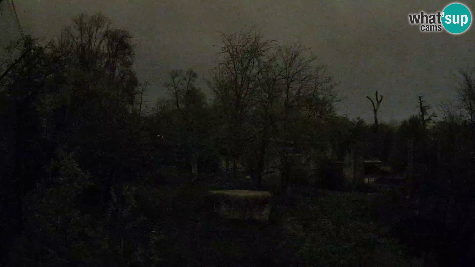 Zoo Zagreb – Löwen