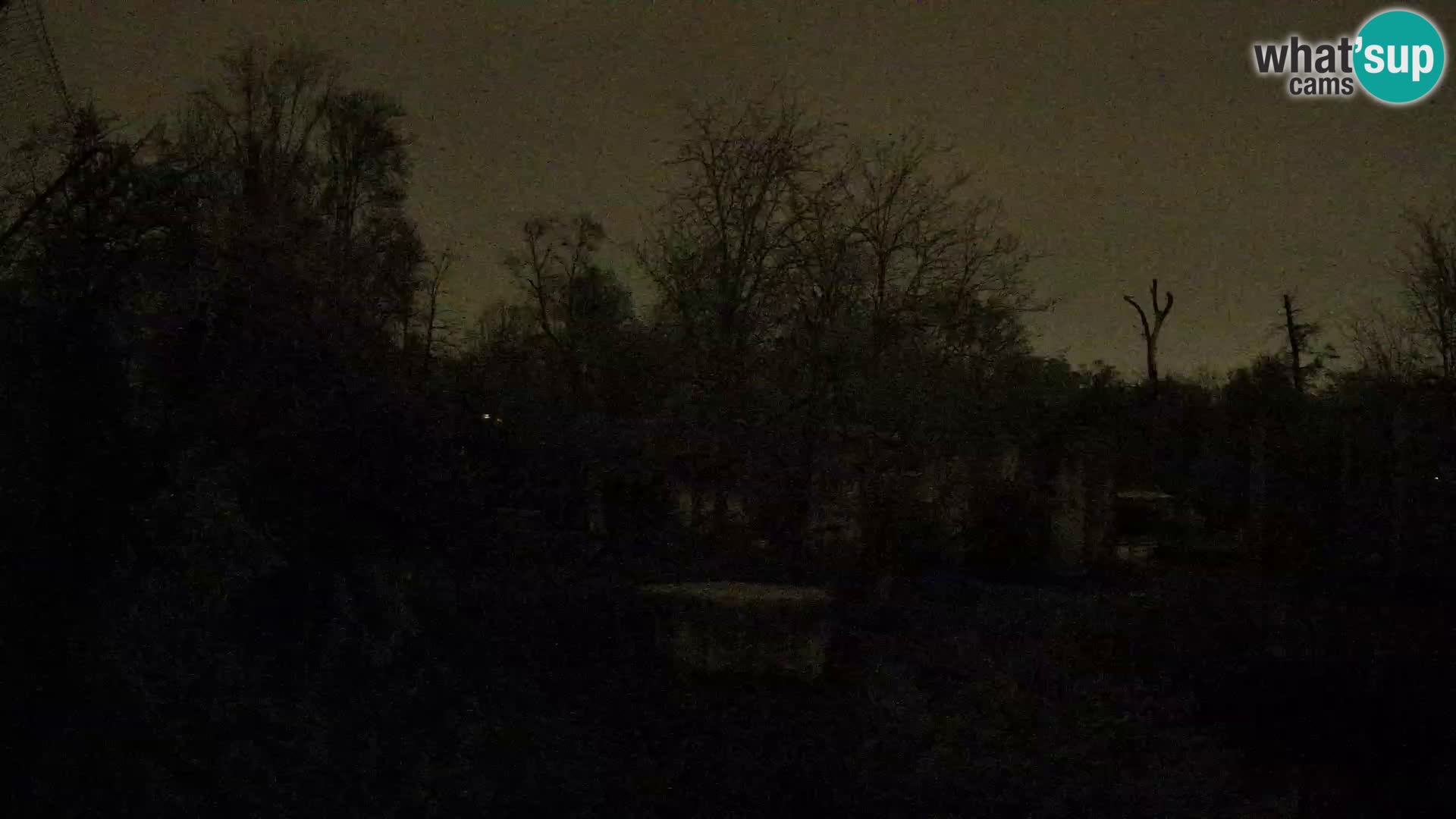 Spletna kamera Zoo Zagreb – Levi