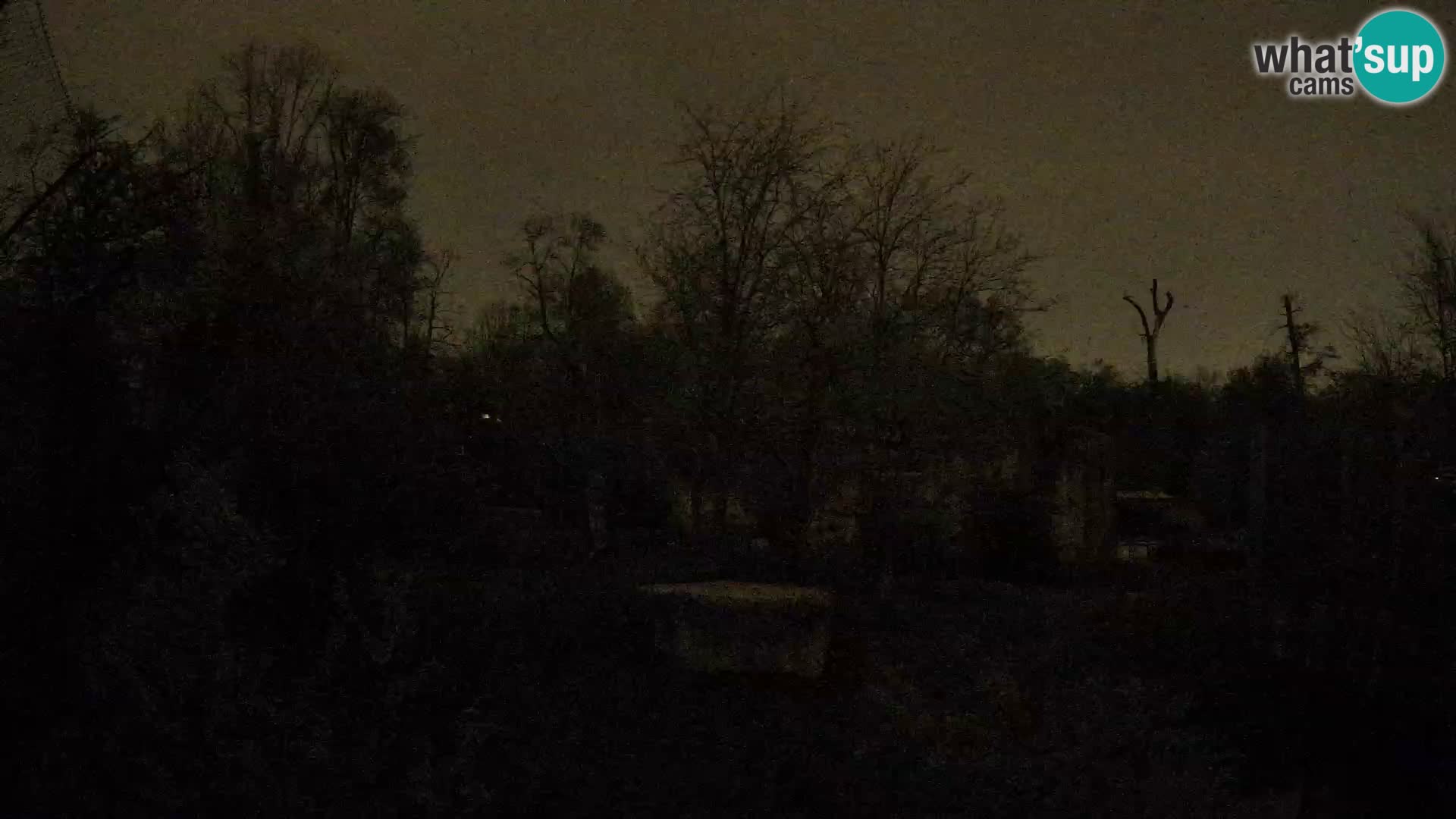 Zoo Zagreb – Löwen