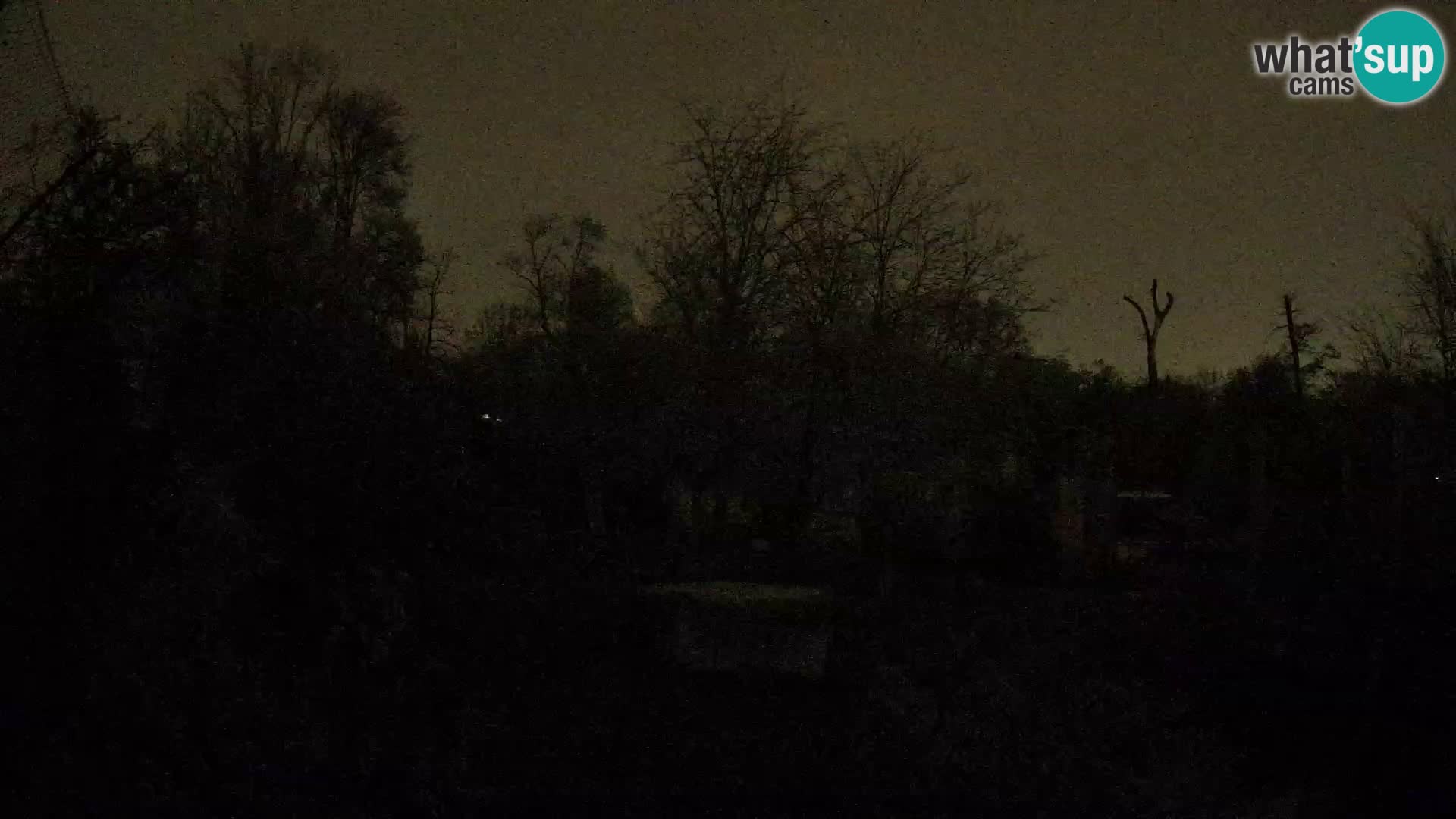 Zoo Zagreb – Löwen