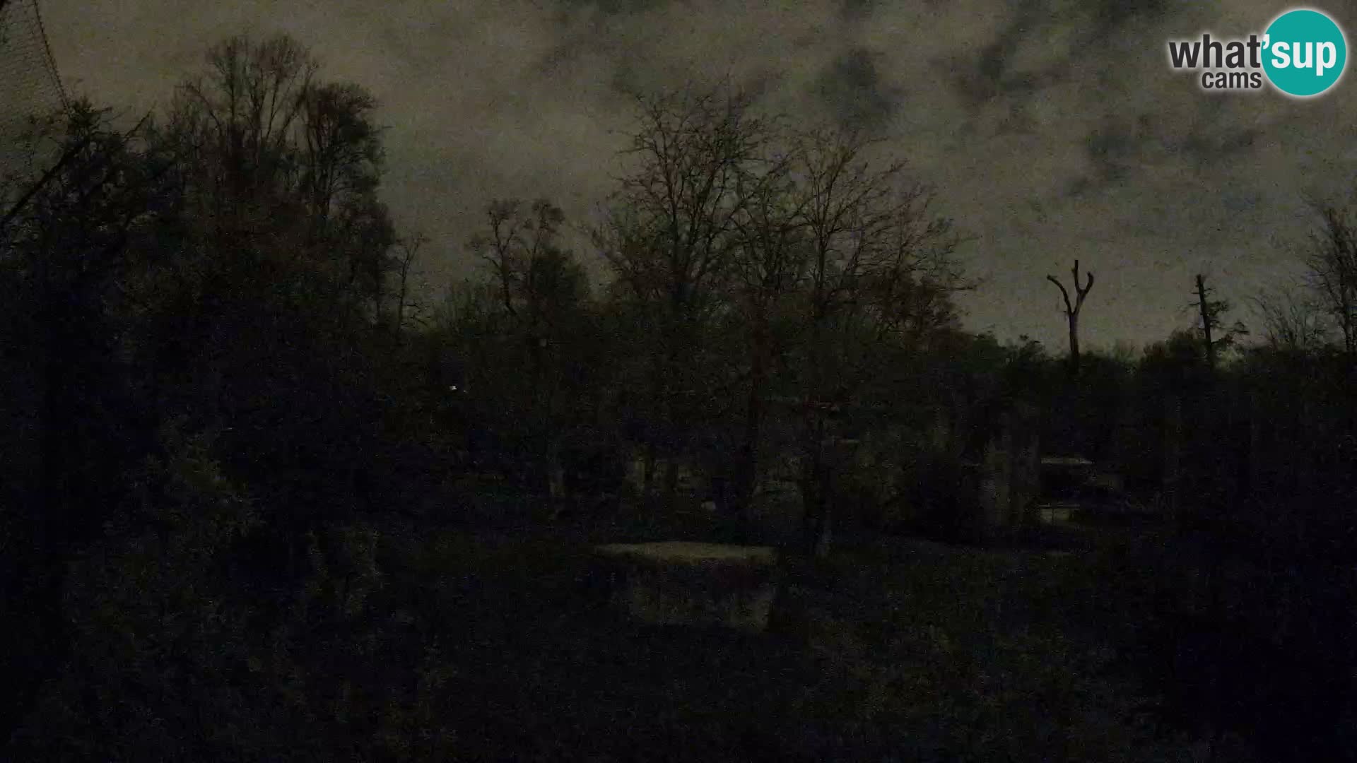 Zoo Zagreb – Löwen