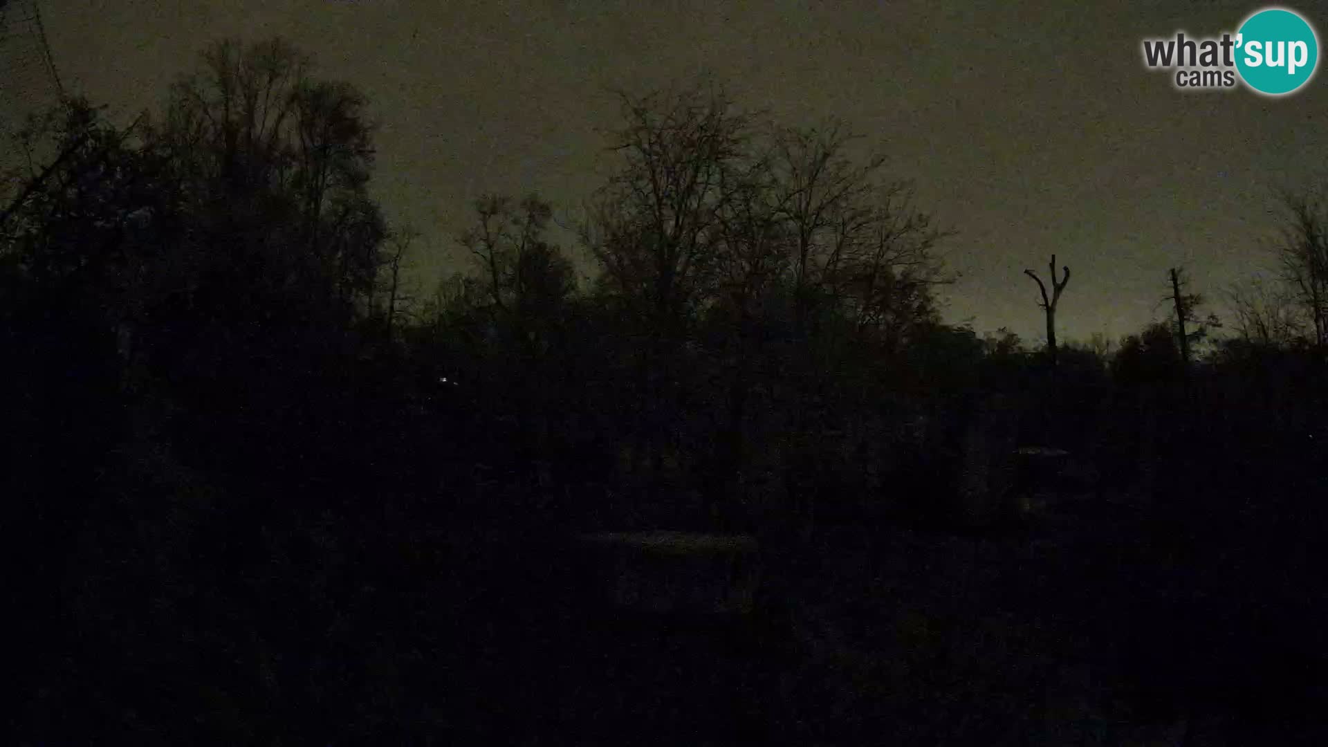 Zoo Zagreb – Leoni