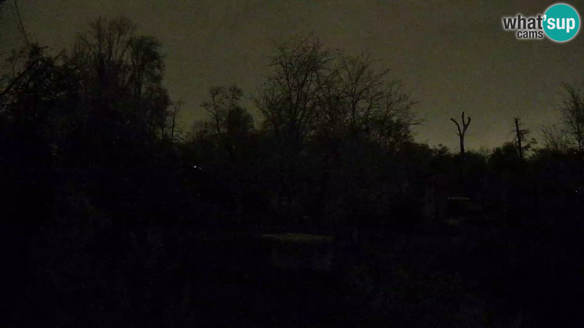 Zoo Zagreb – Leones