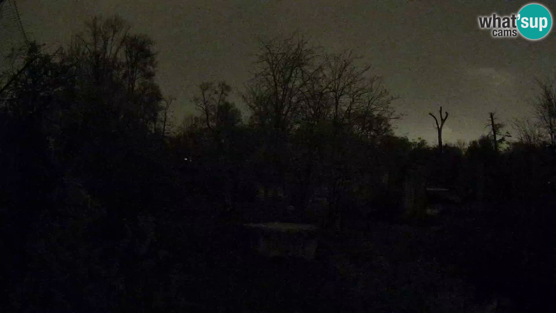 Zoo Zagreb – Leones