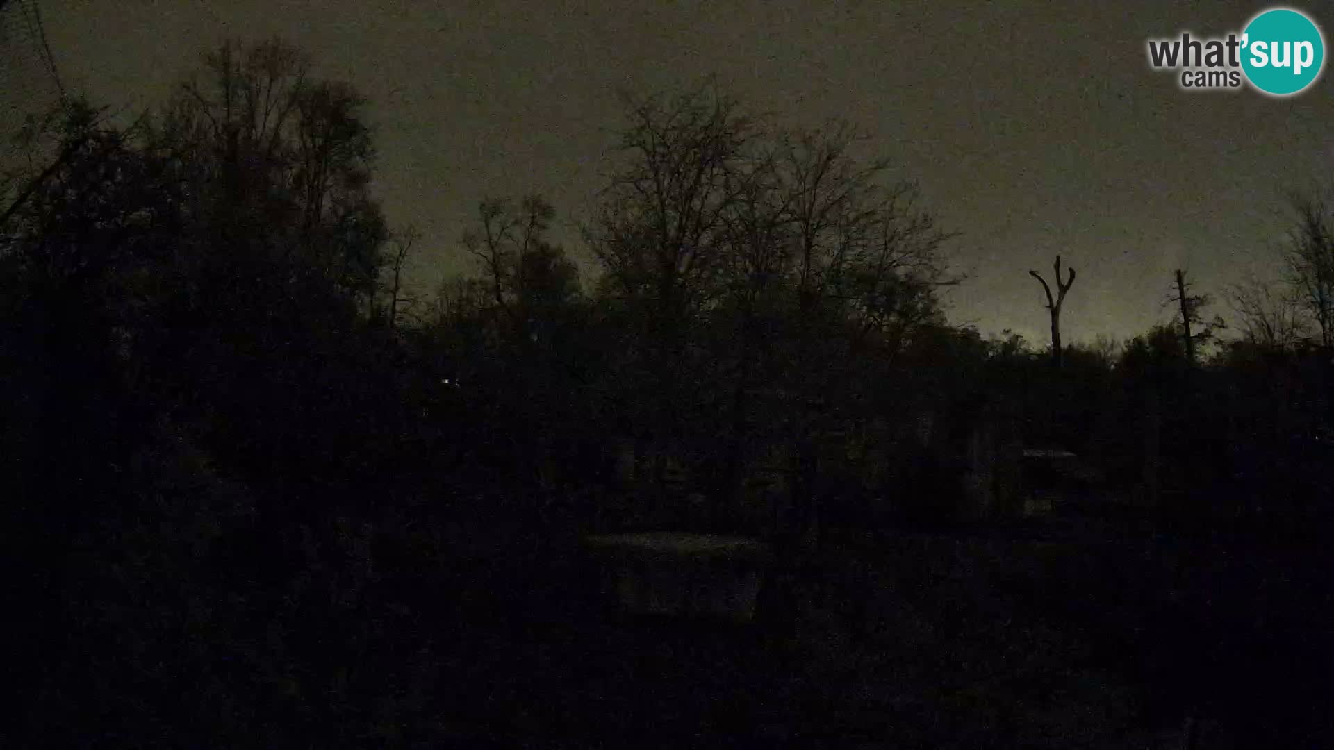 Zoo Zagreb – Lavovi