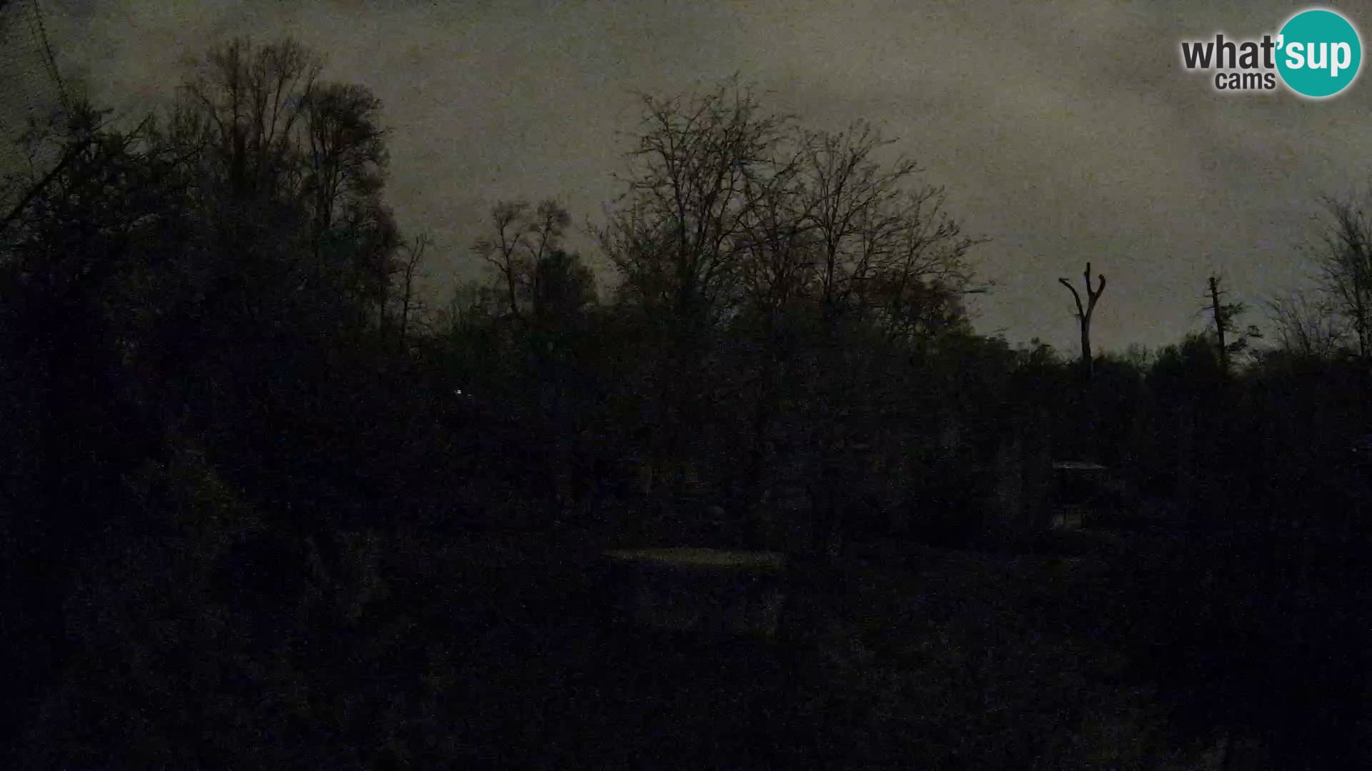 Zoo Zagreb – Leones