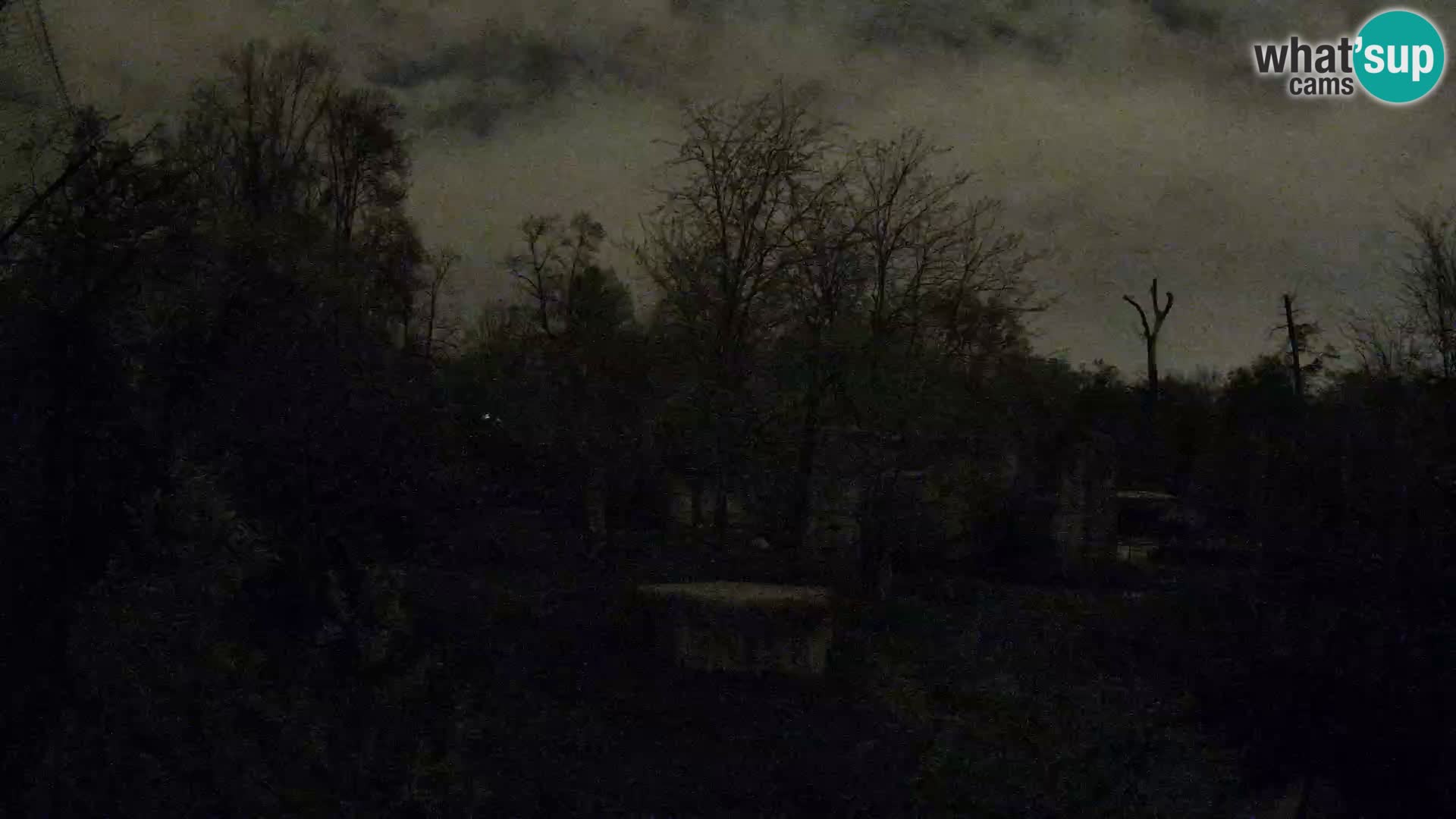 Zoo Zagreb – Löwen